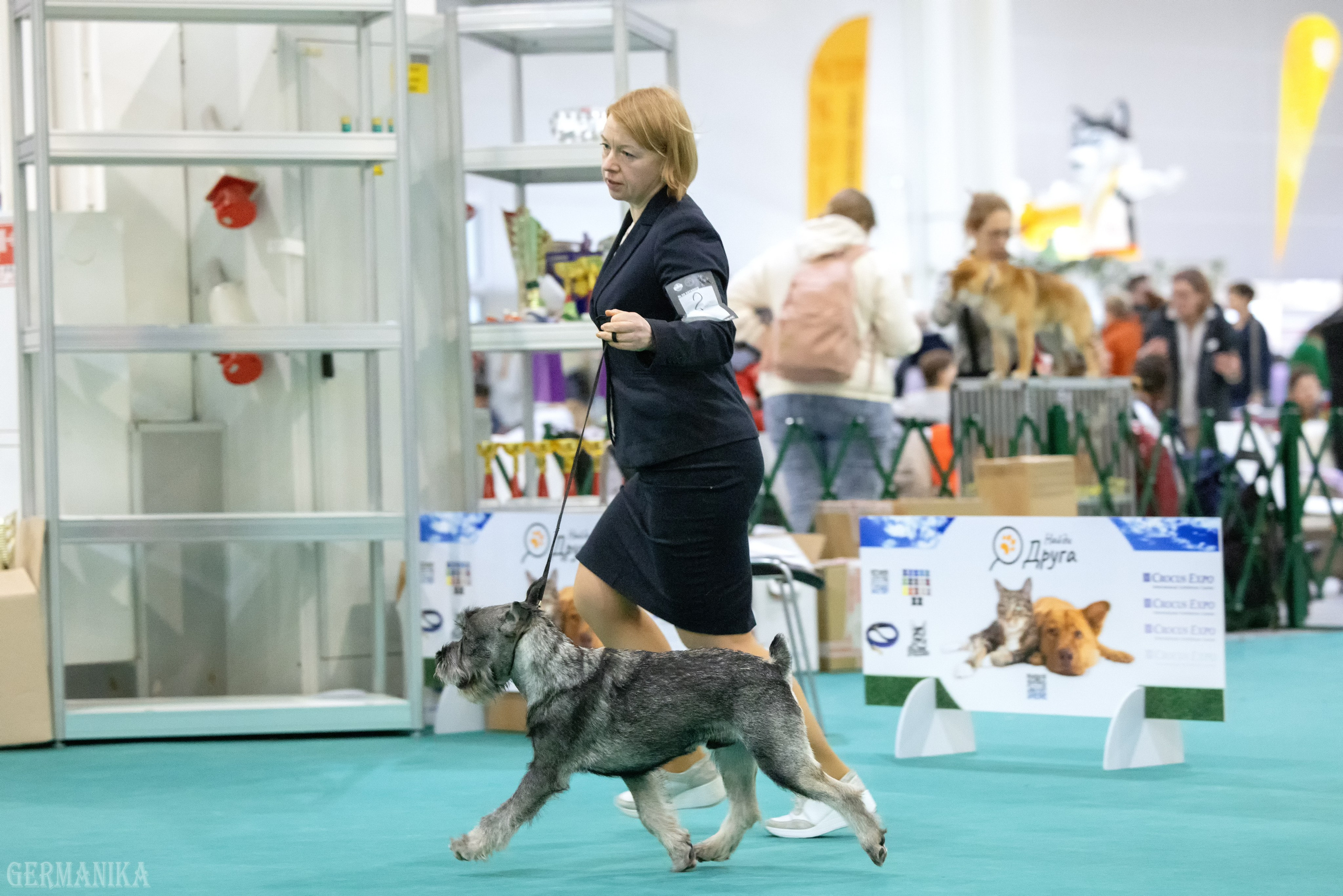 Крокус 10.02,Сфера 11.02.2024. Фотограф-анималист Юлия Германика