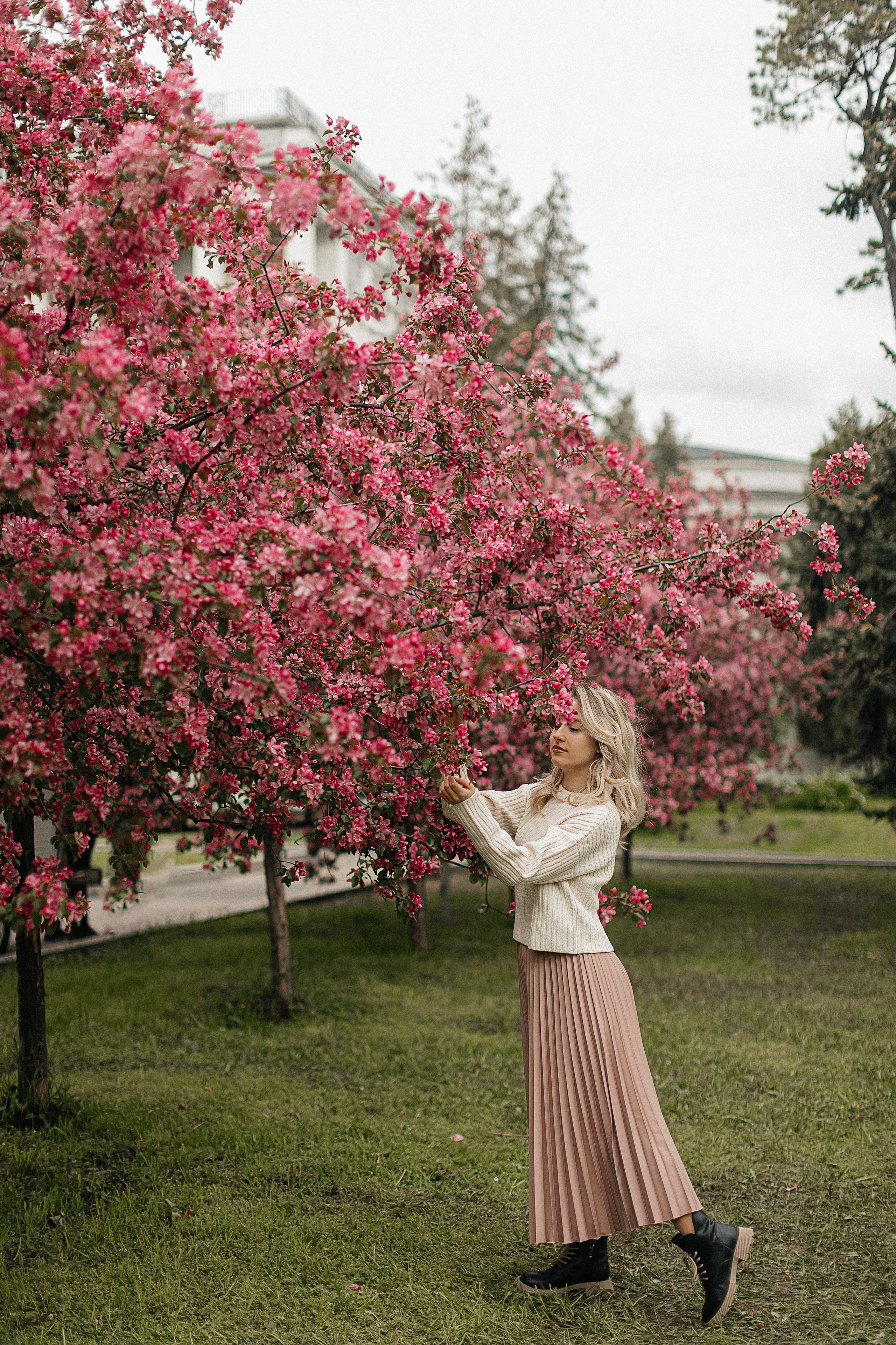 Розовые яблони. Фотограф Москва