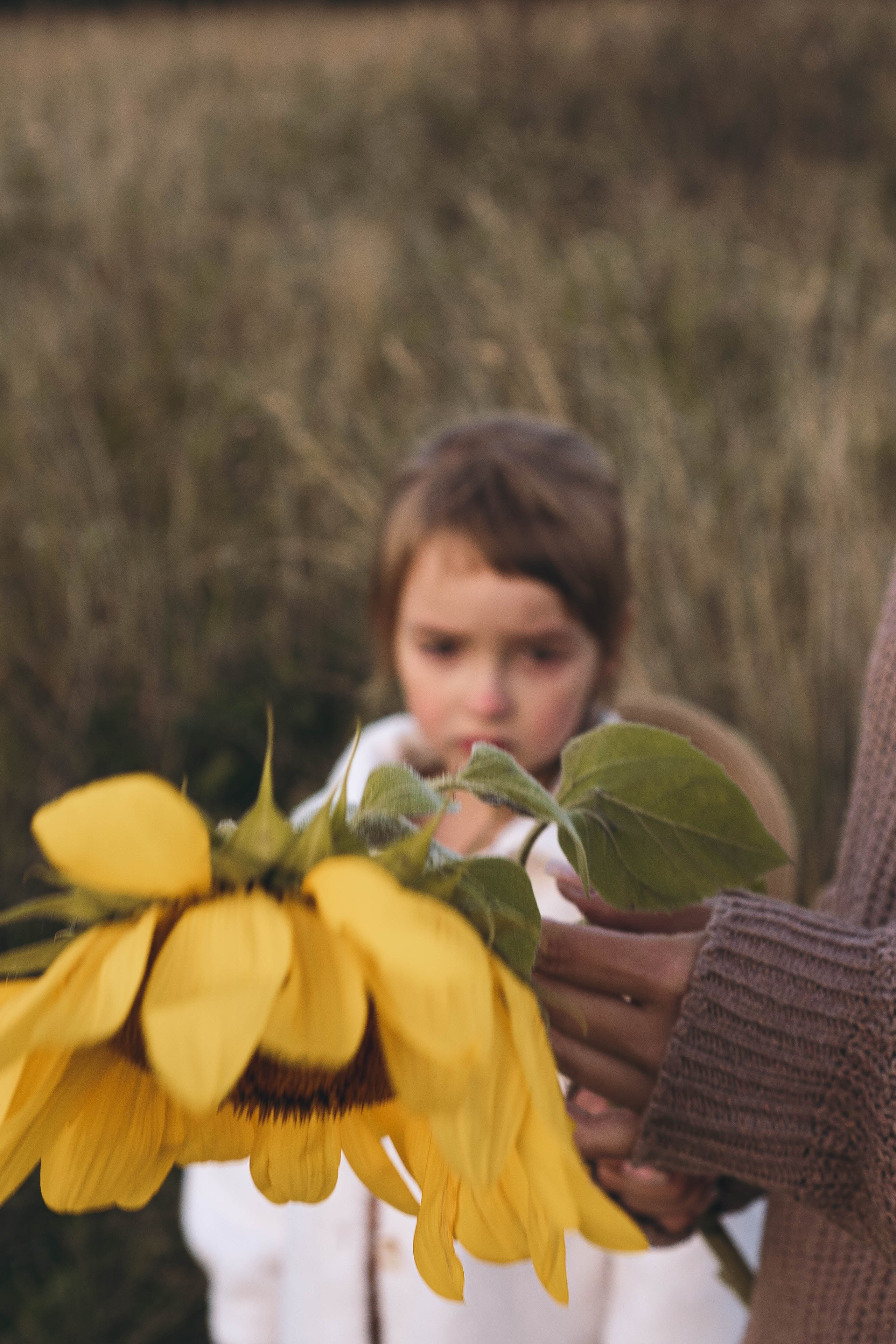 Семейная серия. Профессиональный фотограф, Санкт-Петербург — Виктория Богомолова