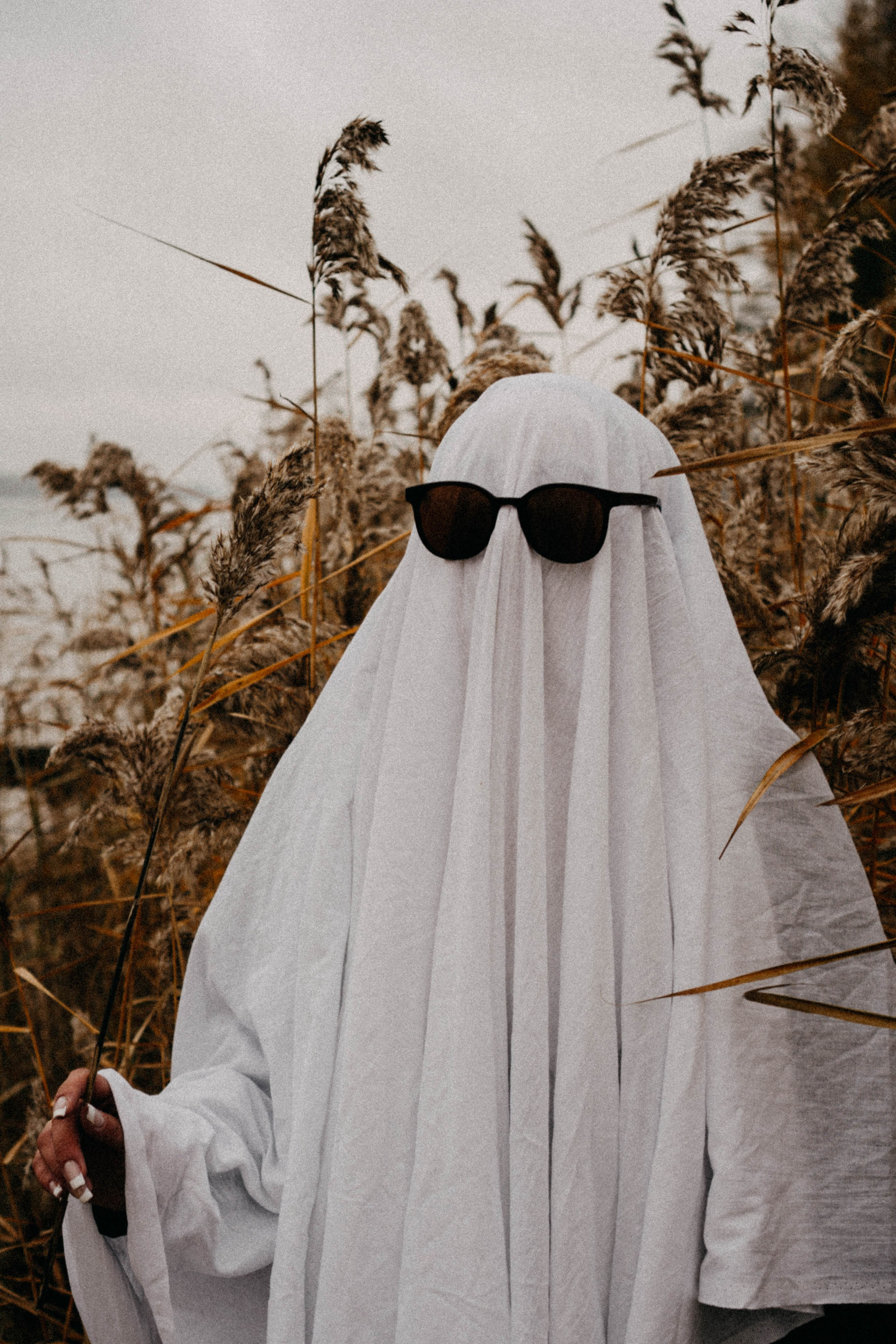 Осеняя. Профессиональный фотограф, Санкт-Петербург — Виктория Богомолова