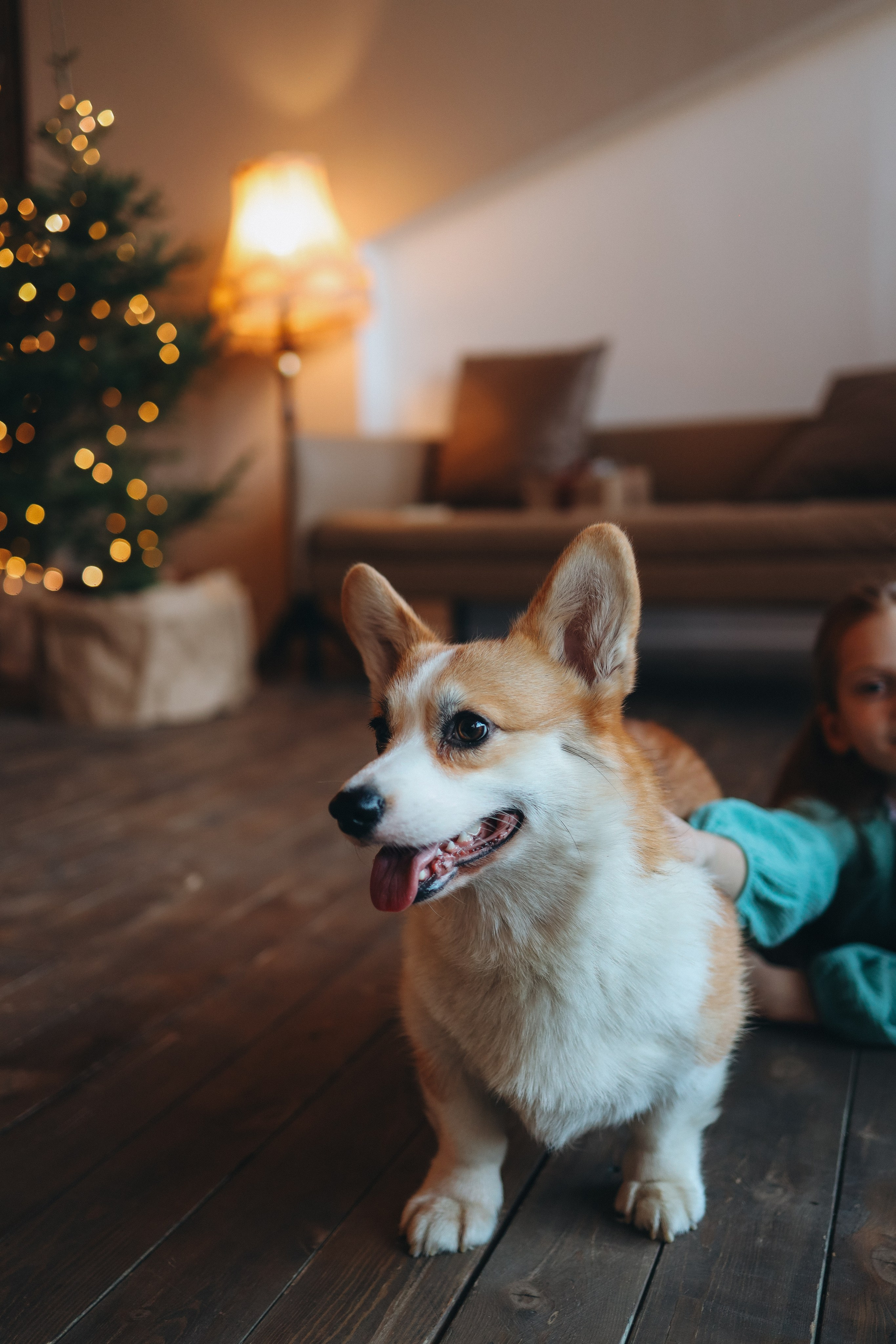 Мама и дочки в фотостудии Чувство. Marina Shakirova Photography