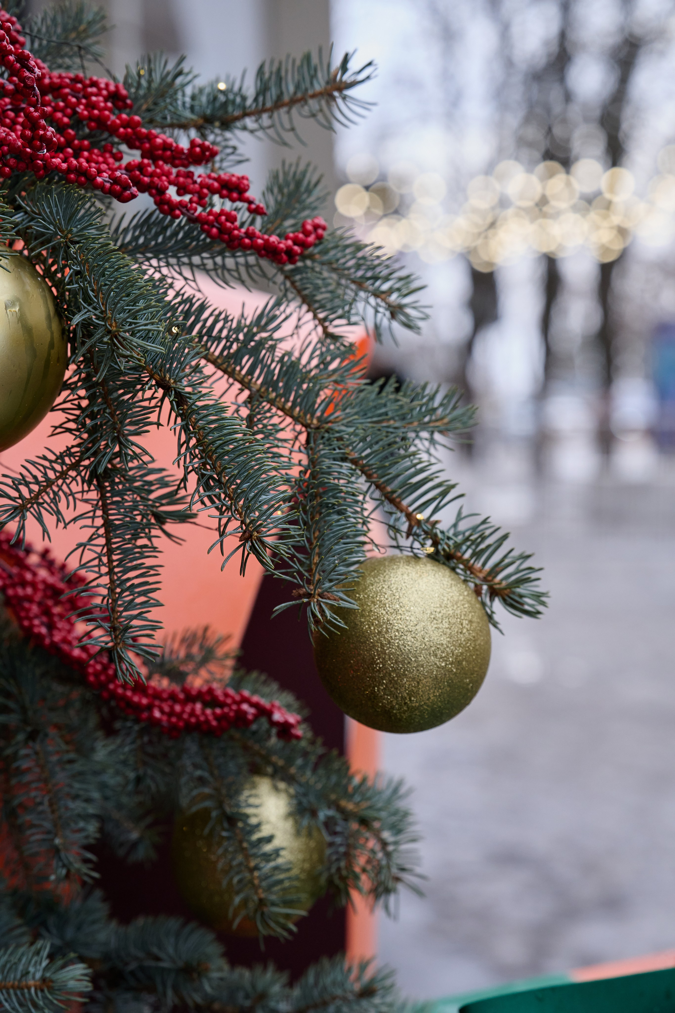 Луганск. Январь 2026. Фотопроект «Территории»