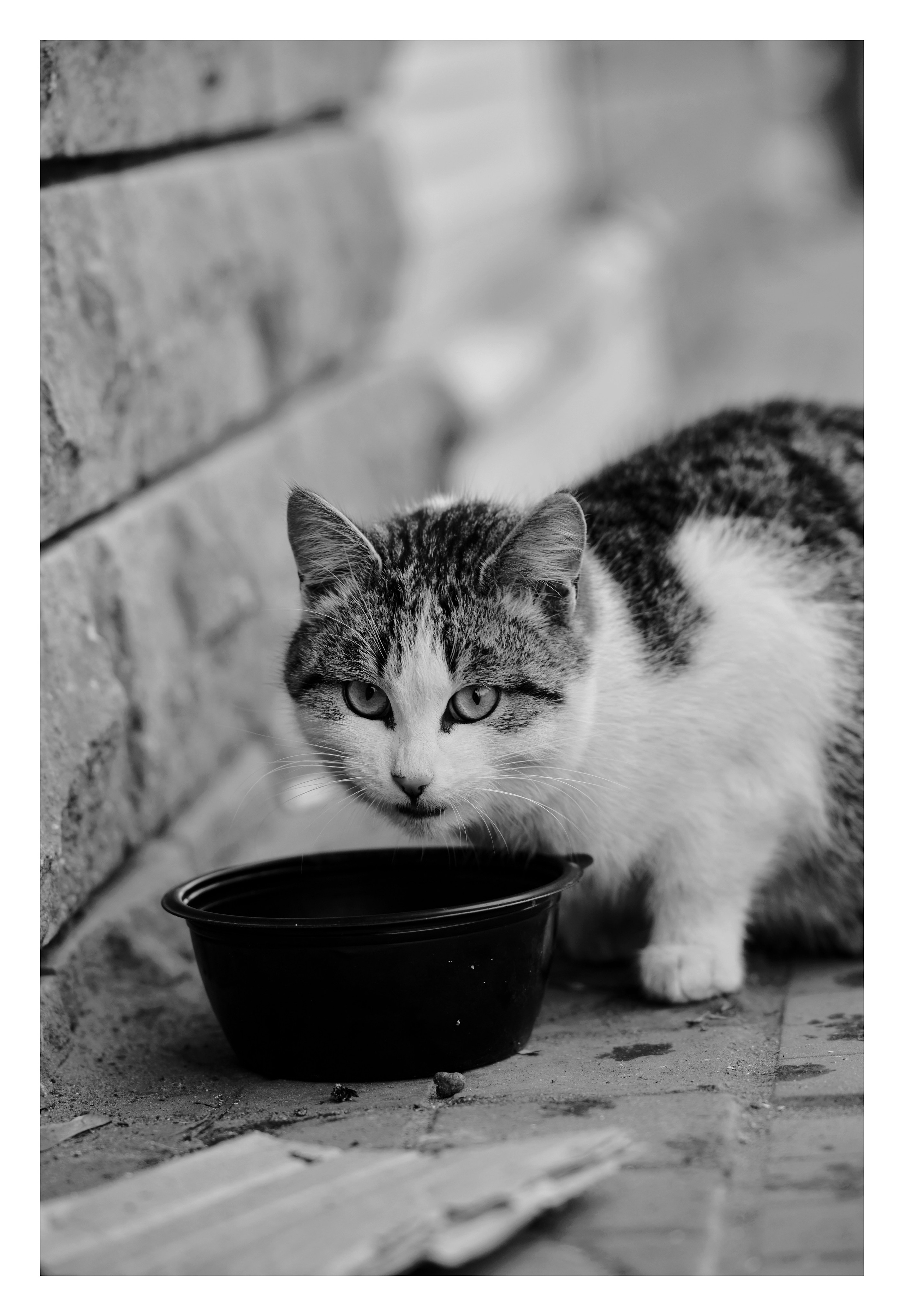 Фотопринты А3. Фотопроект «Территории»