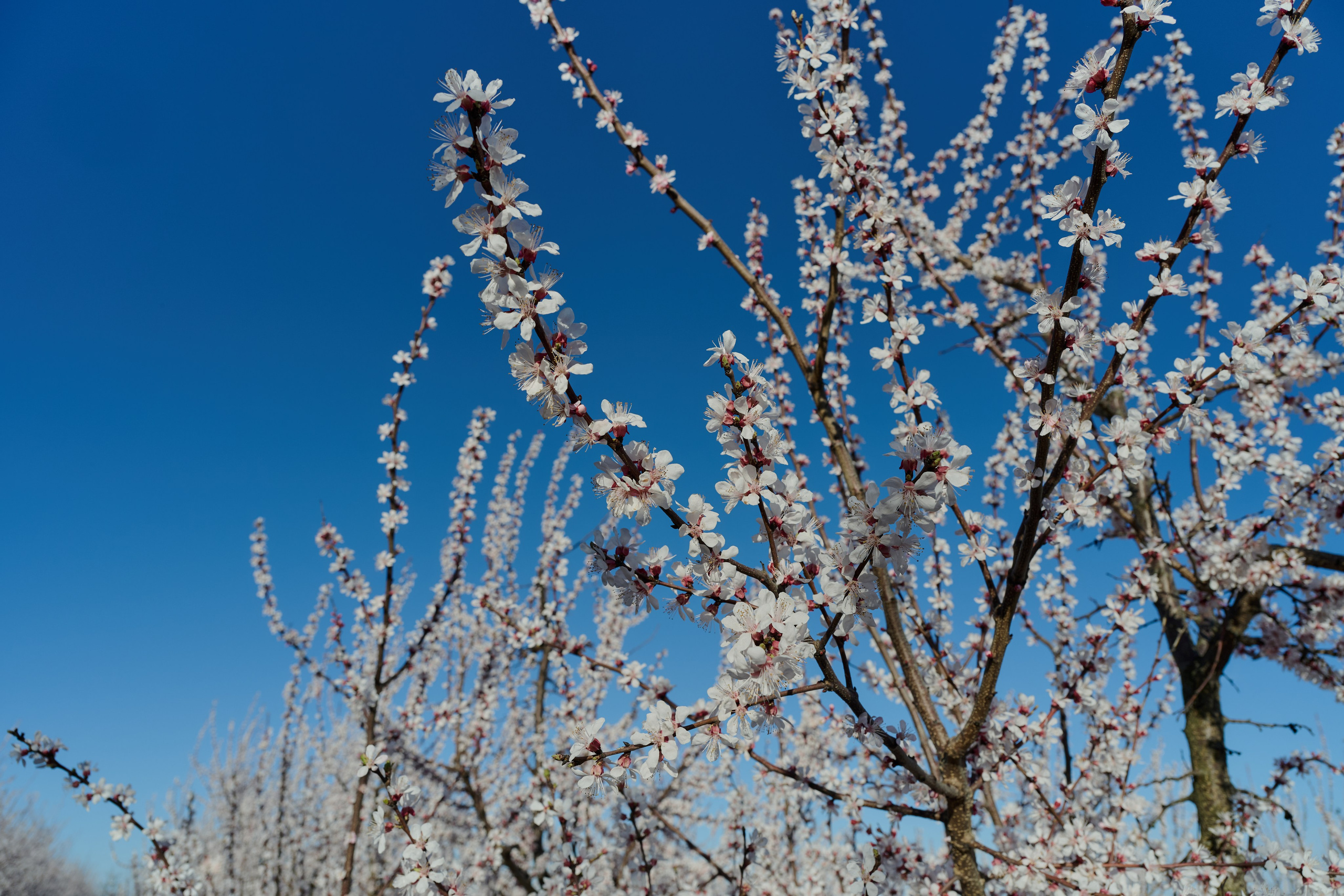 Мелитополь. Фотопроект «Территории»