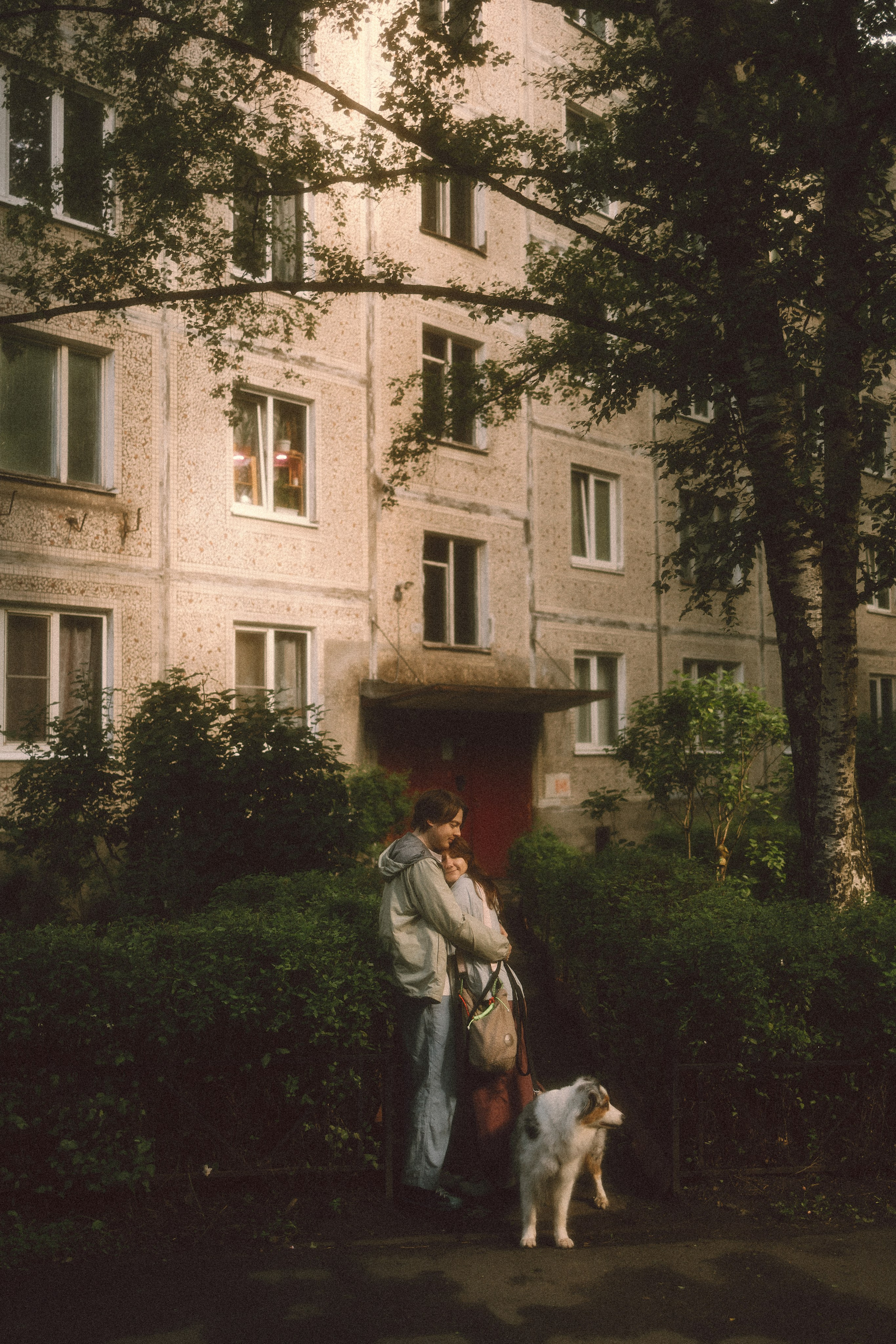 Хлоя, Алёна и Дима. Фотограф анималист Анастасия Пикей