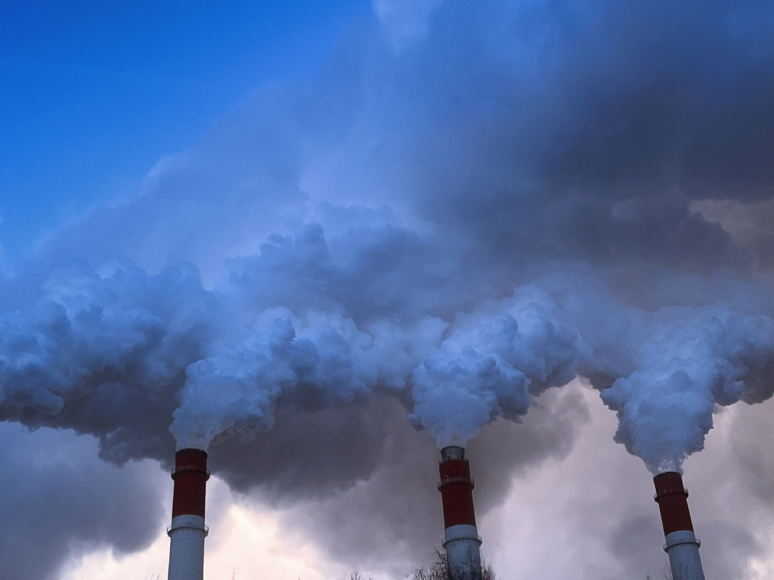 Визуальный дневник. Портретный фотограф в Москве Гахраманова Екатерина