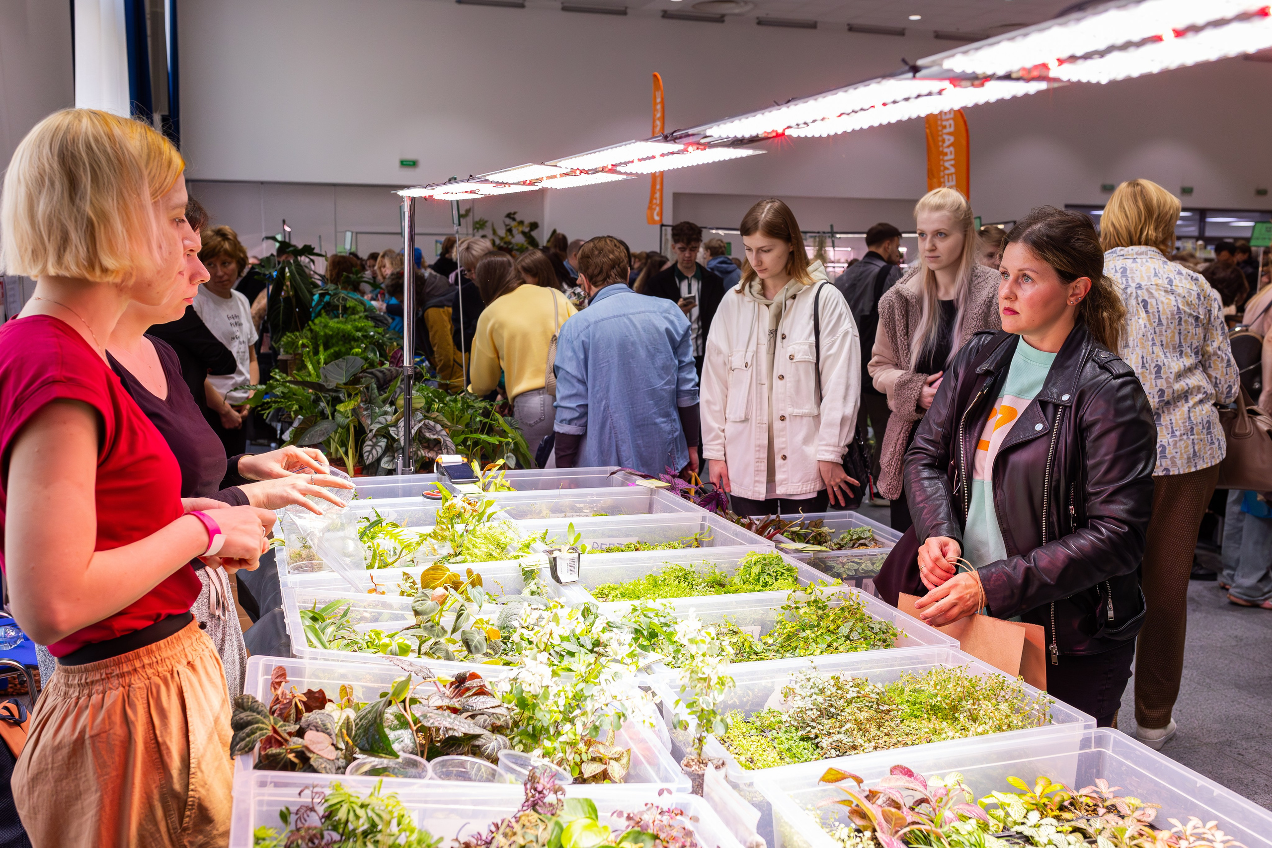 Монстериум 11–12 октября. Александра Куликова фотограф, Москва