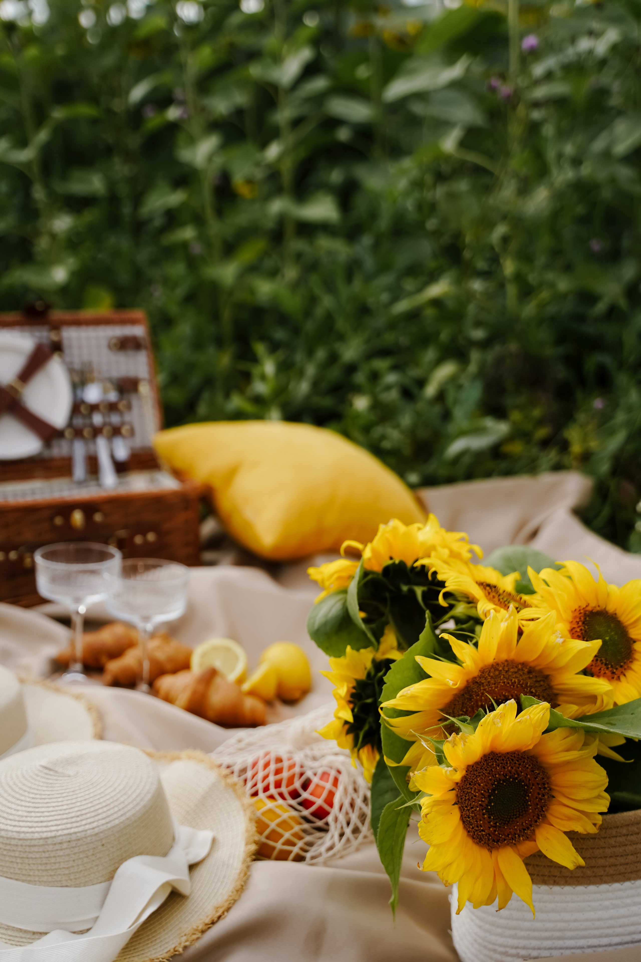 Подсолнухи. Бирск