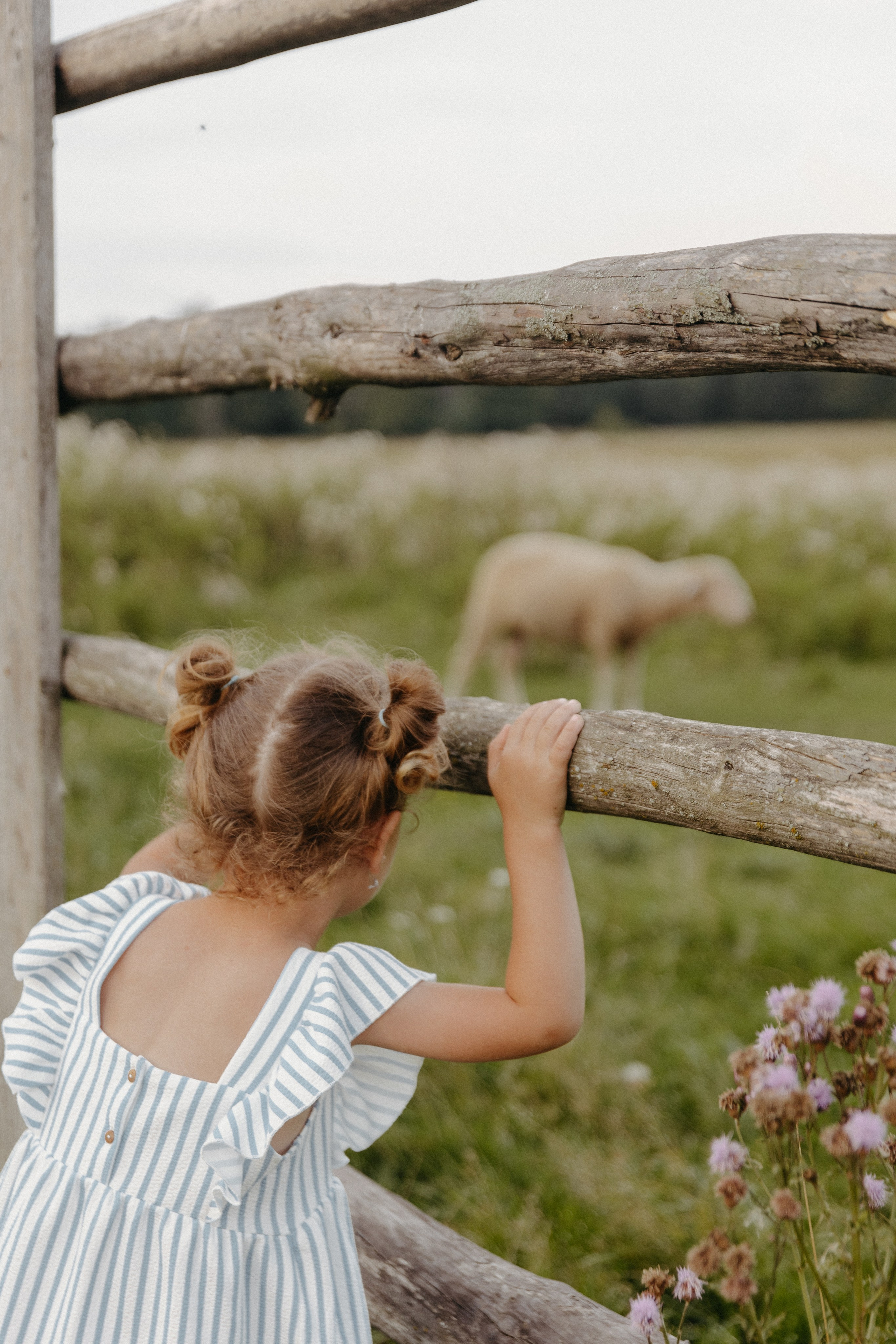 Олечка, Мелоди и Дилан. Семейный фотограф Земскова Евгения