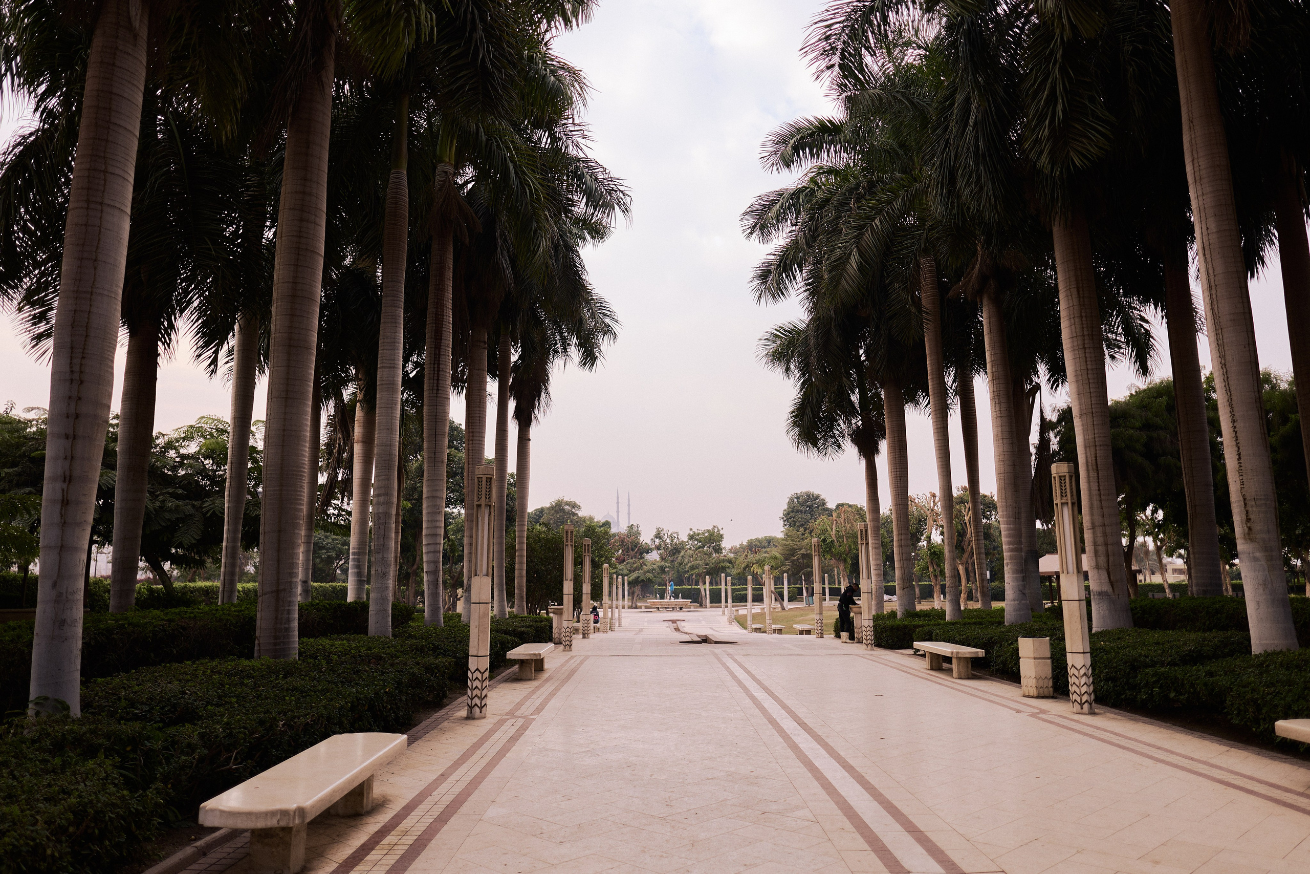 Другое 4. Jorgis — фотограф в Хургаде / обучение фотографии