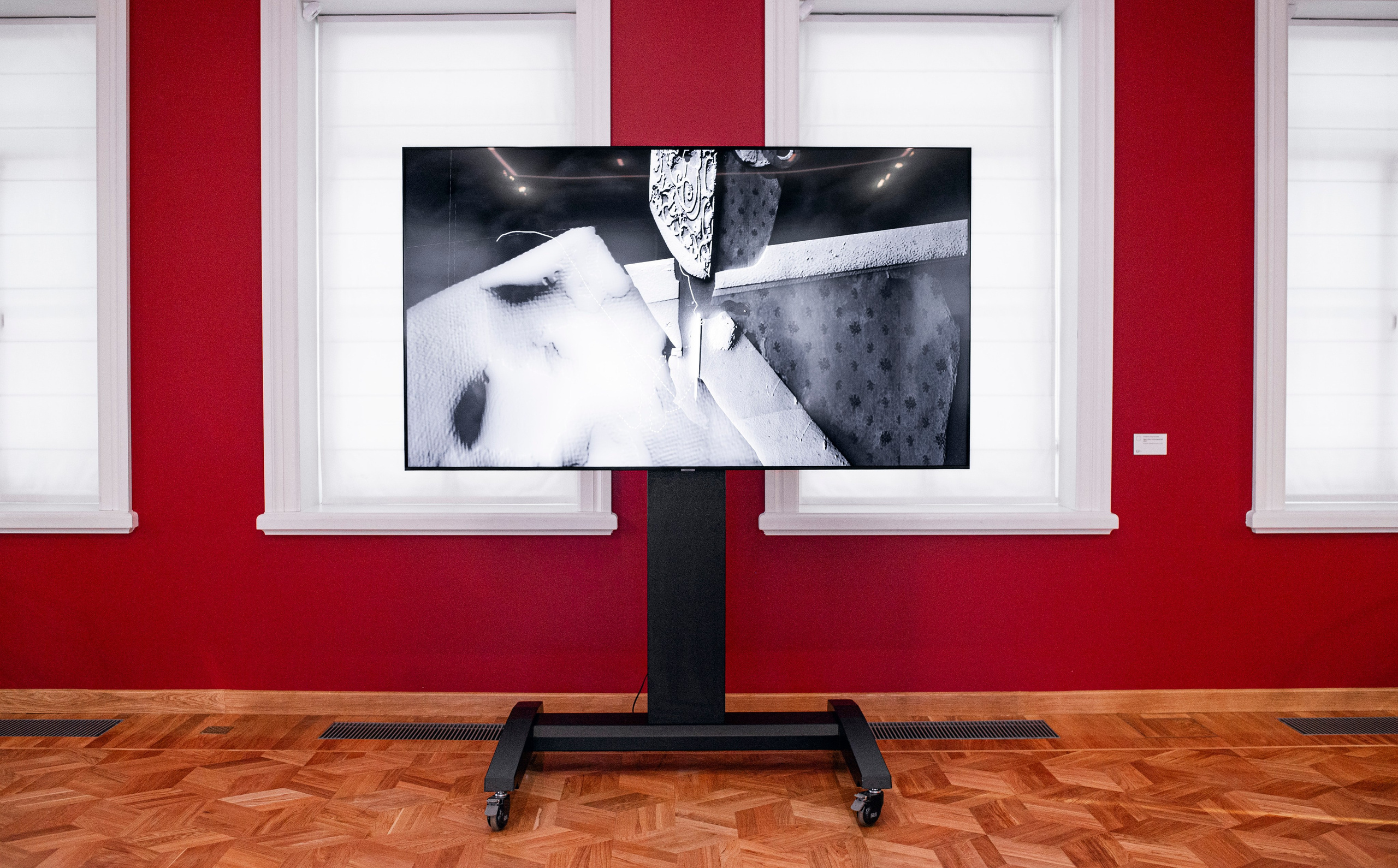 Выставка в доме Третьяковых. Фотограф в Москве Алейникова Евгения