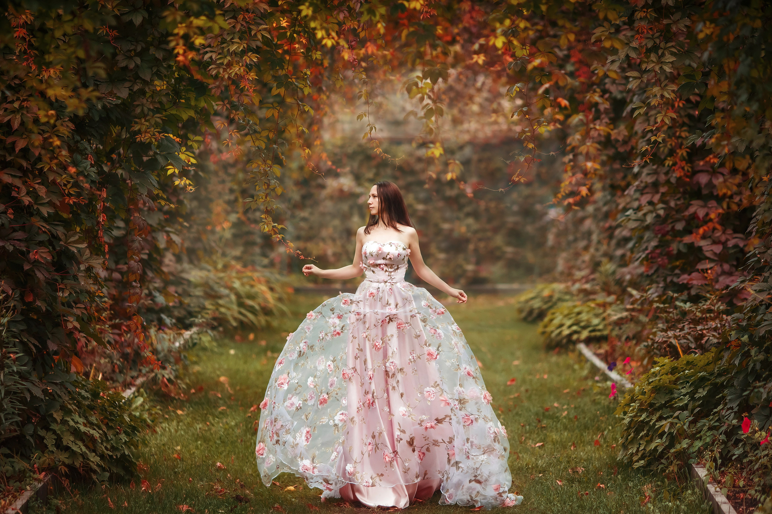 Алтай. Сказочный фотограф фотопроекты фототуры в Новосибирске и на Алтае