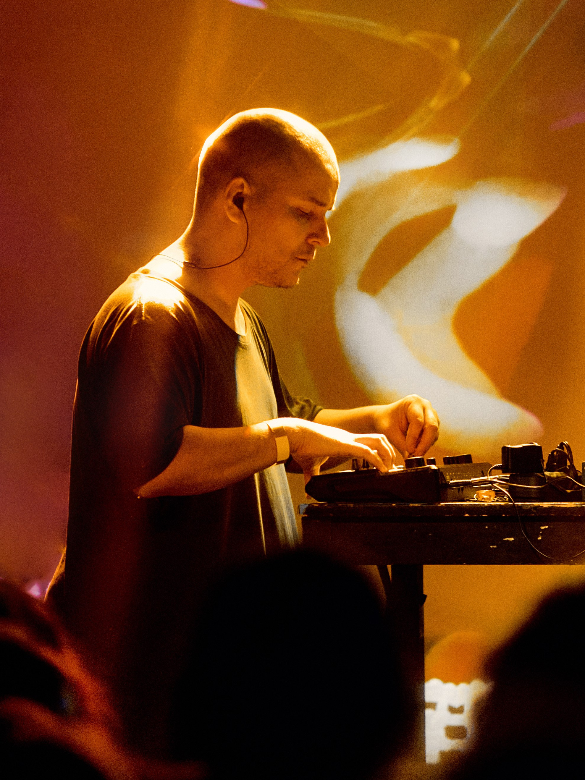 Порез на собаке. Фотограф Юлия Маринина