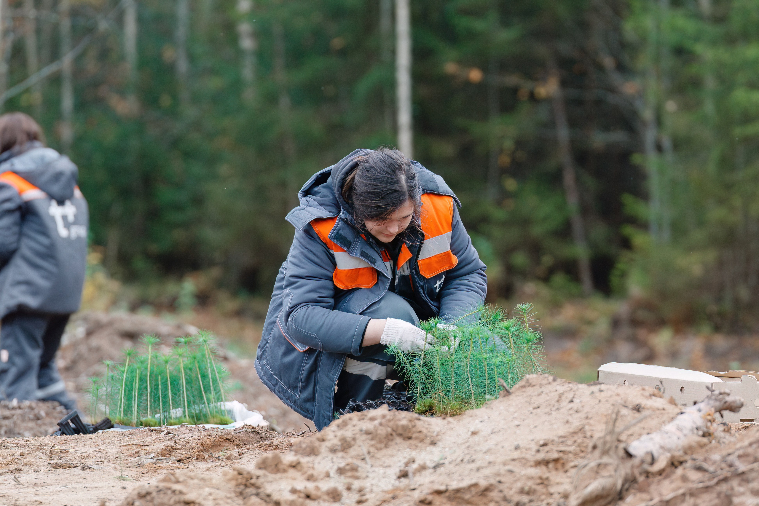 Сады памяти. Свадебный и репортажный фотограф Киров | Вадим Карпук