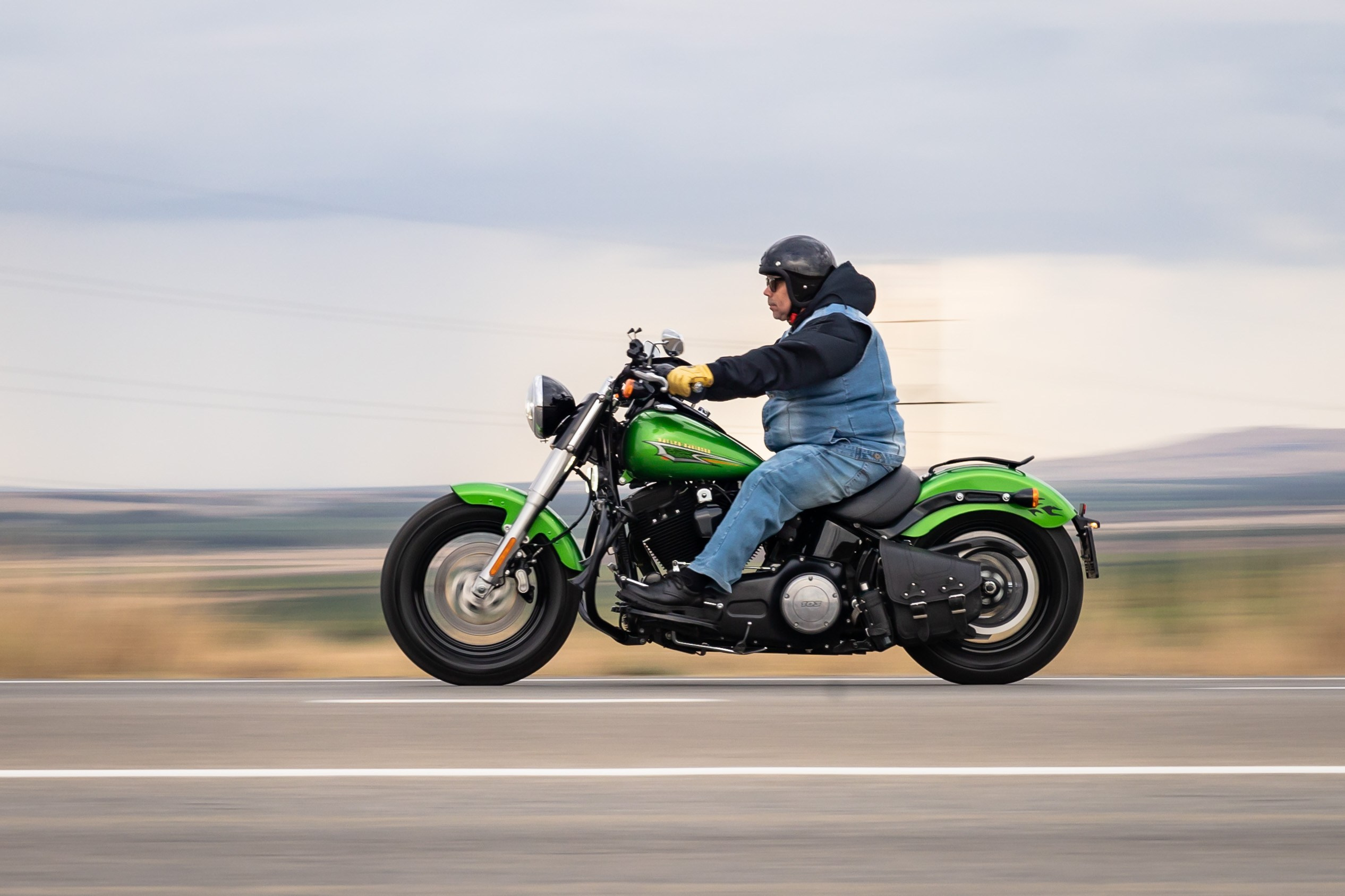 Южное Сафари в Тамани. Сентябрь 2024. Фотограф Владимир Охрименко