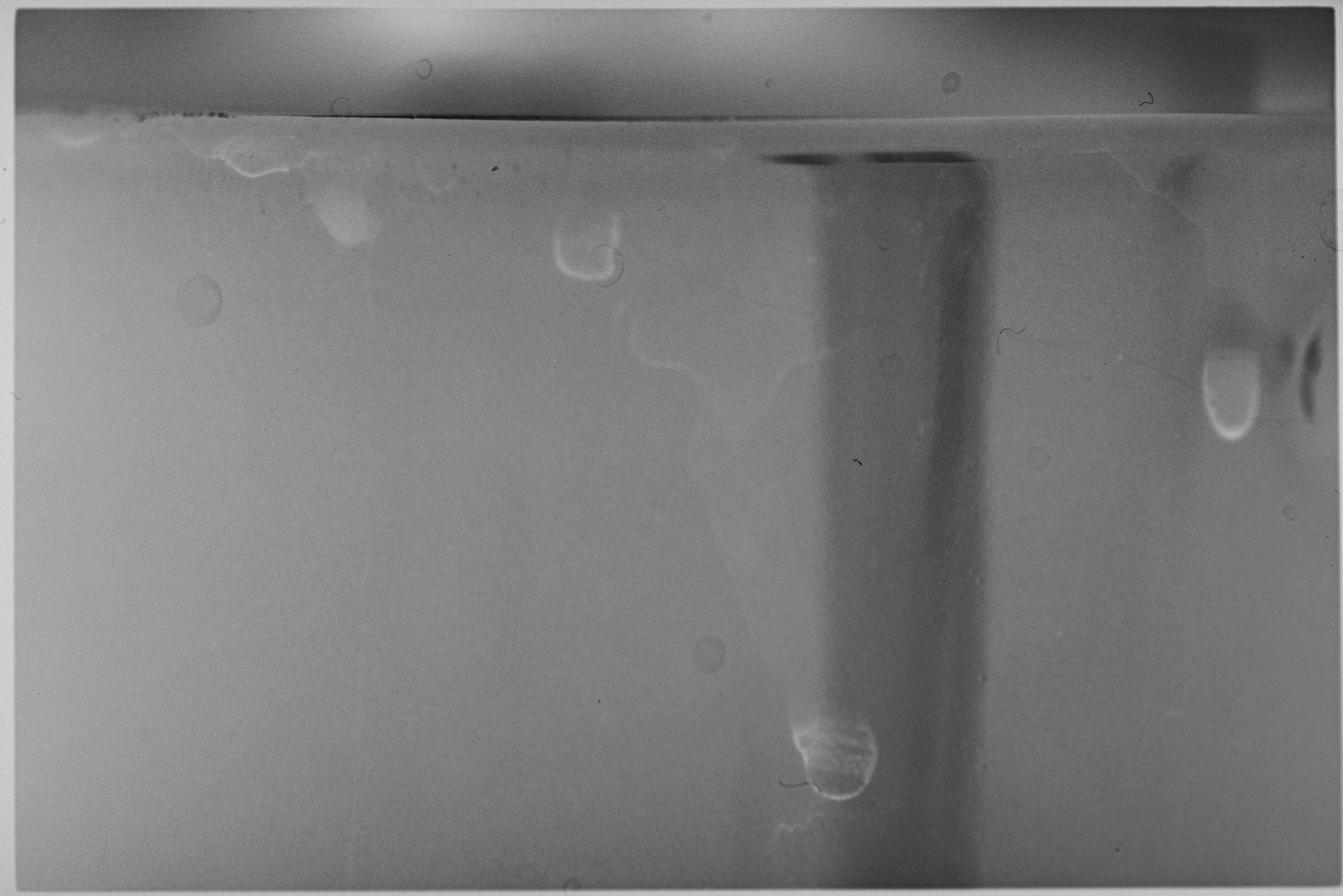 Traces. Veronika Verbitskaia | Contemporary Photographer | Dublin