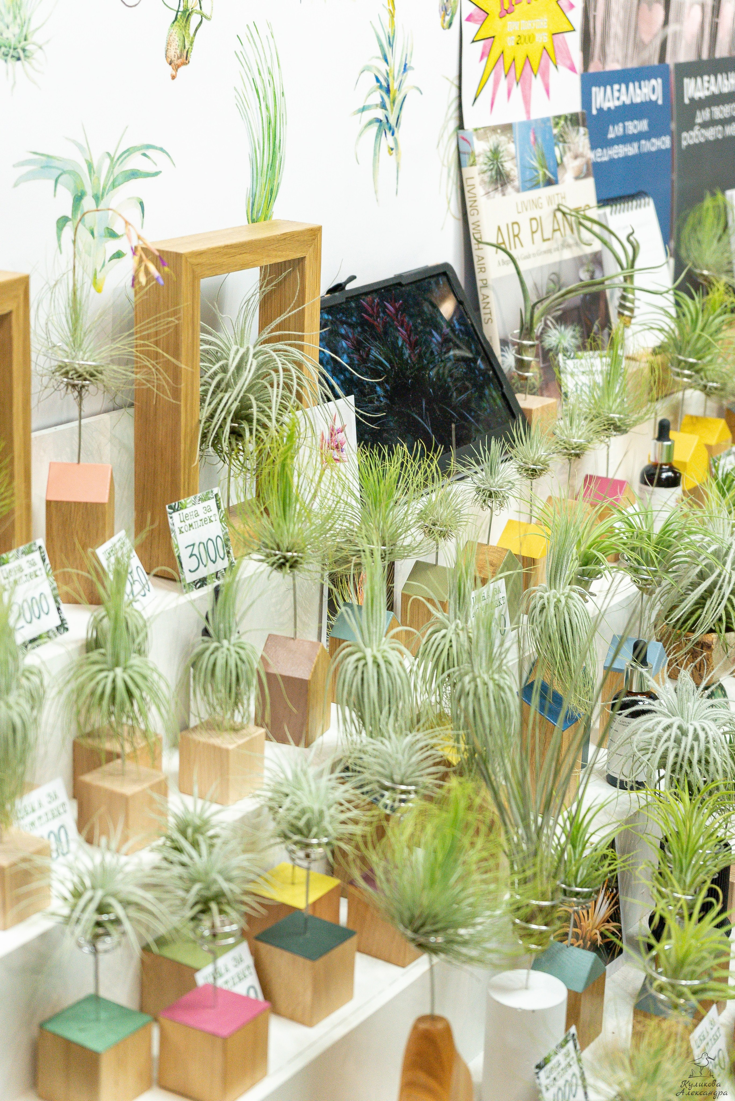 Гроубокс Артплей апрель. Александра Куликова фотограф, Москва