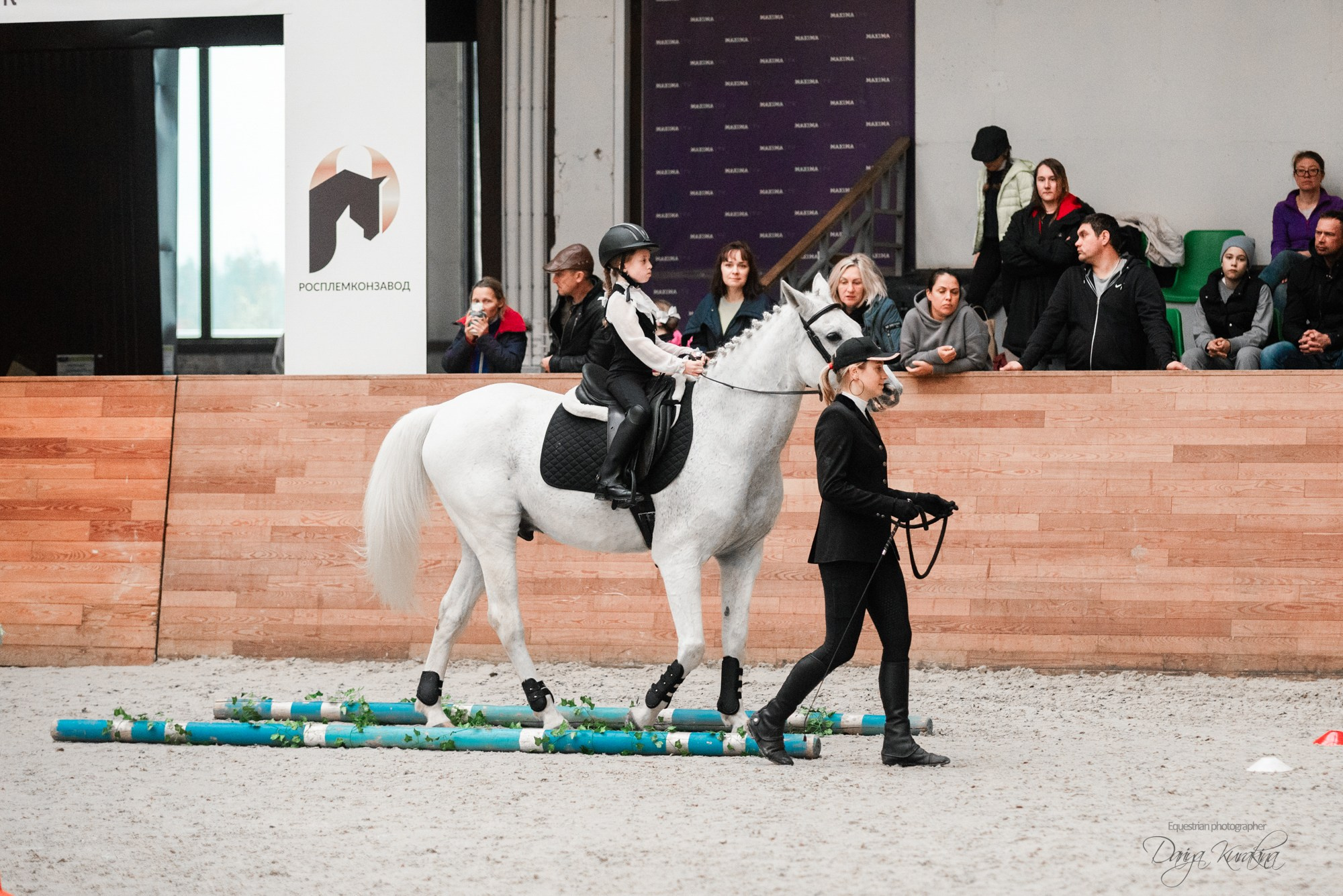 8-я международная выставка Конная Россия. Конный фотограф Куракина Дарья • Фотосессии с лошадьми