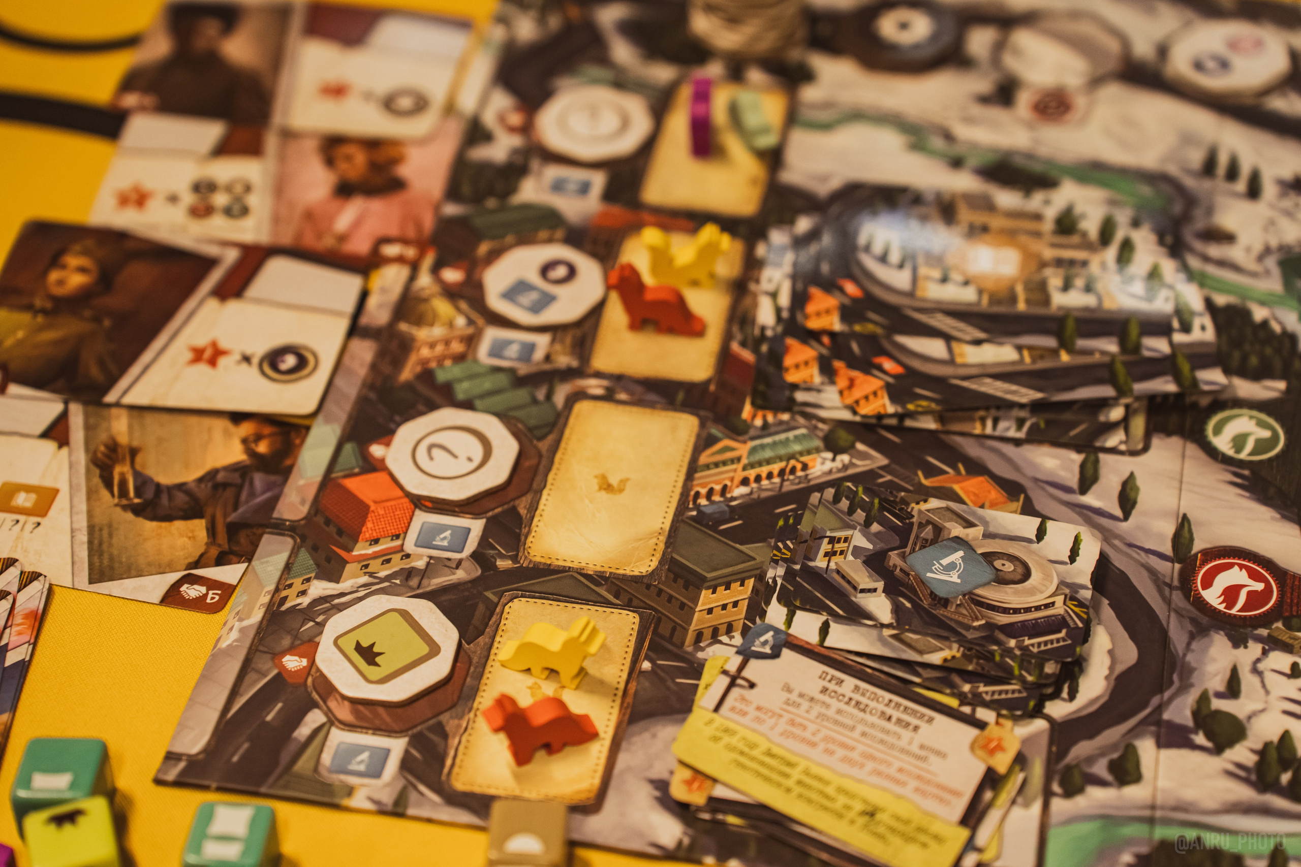 Fox Family fest. Репортажный фотограф Анастасия Рубцова