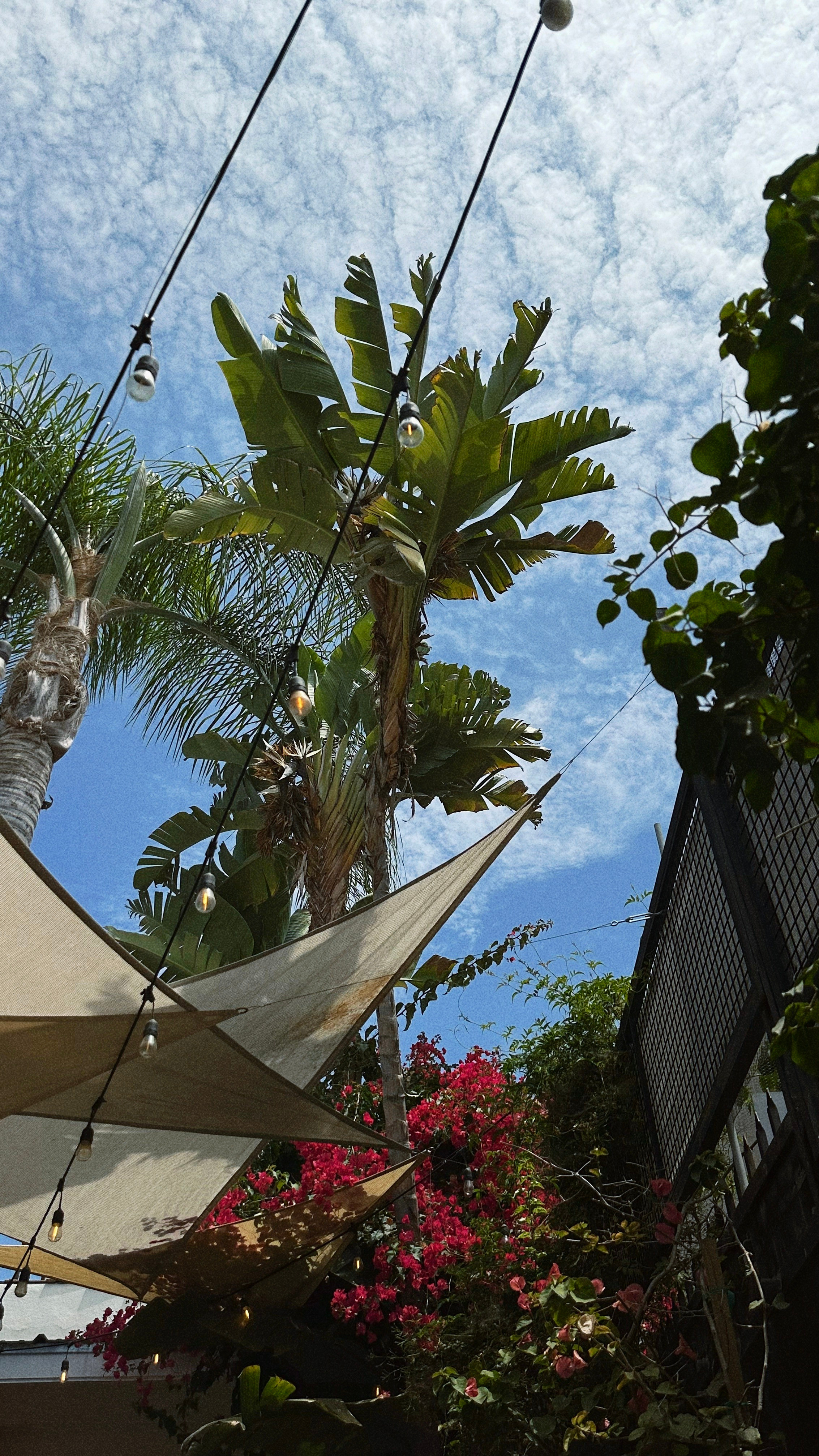 SUBJECT // PHOTO //. DIANA AMEFOLLE — photographer, videographer. LOS ANGELES