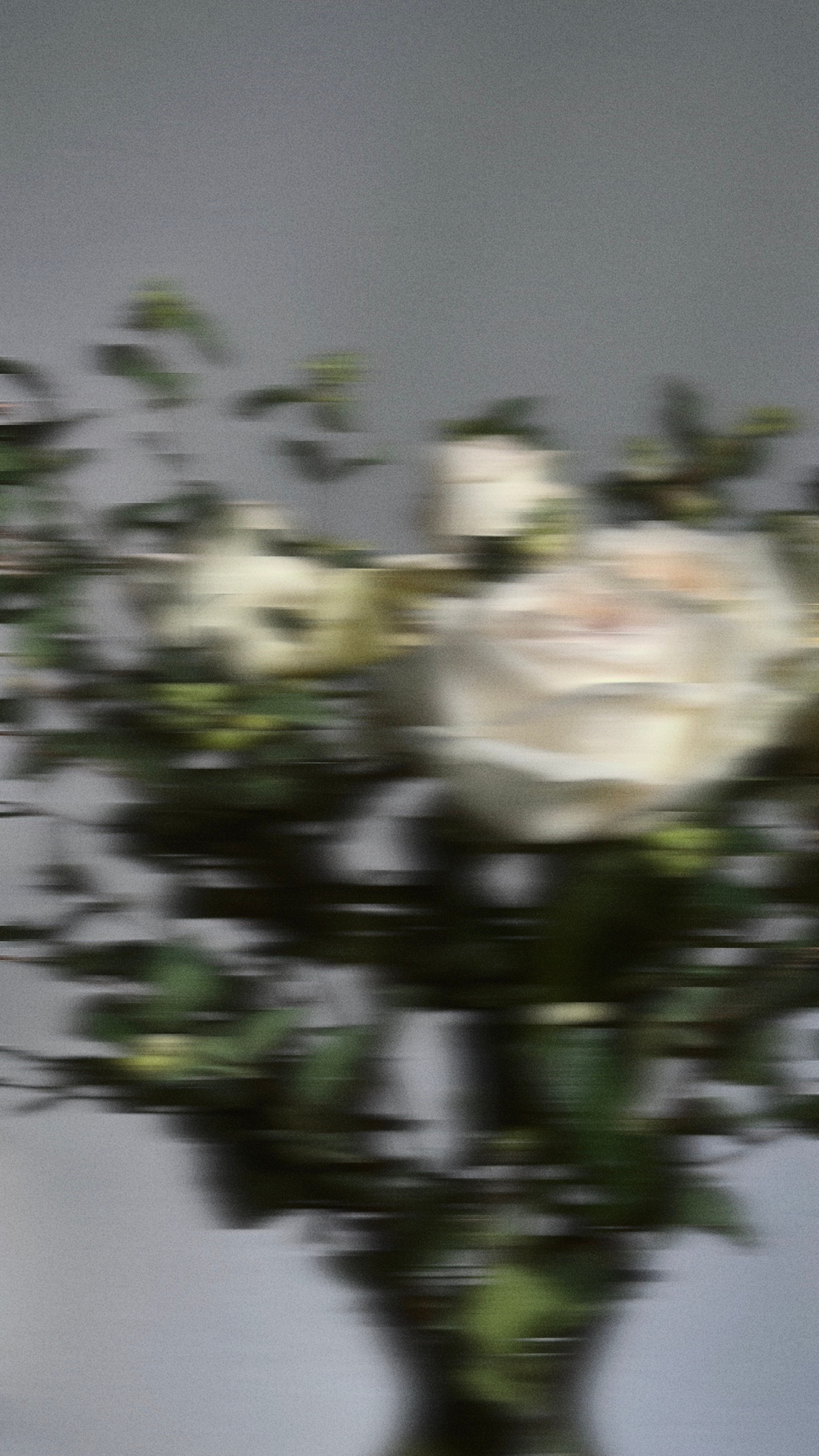 SUBJECT // PHOTO //. DIANA AMEFOLLE — photographer, videographer. LOS ANGELES