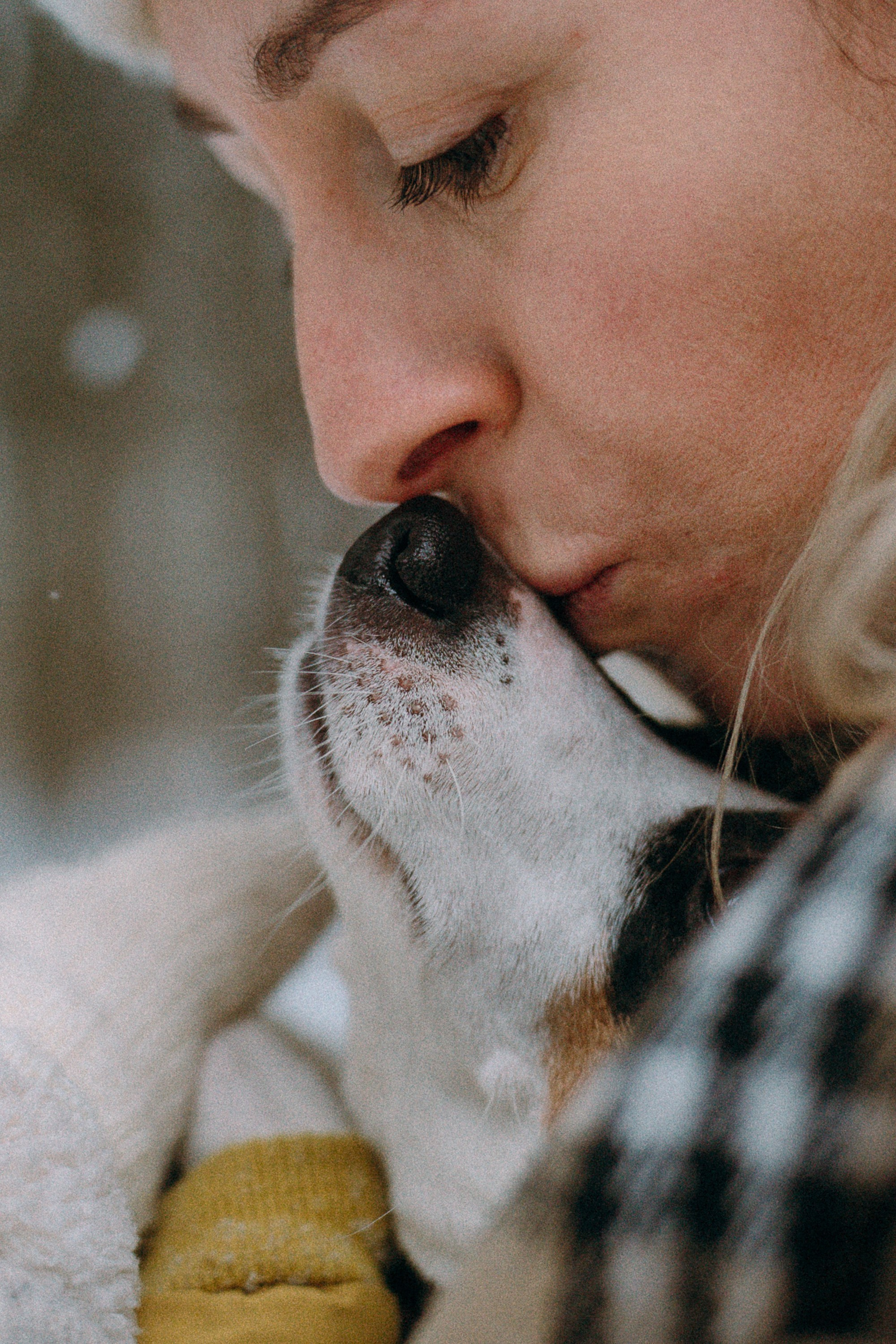 Алина, Ваниль и Элис. Фотограф анималист в Москве и Санкт-Петербурге Свиридова Анна