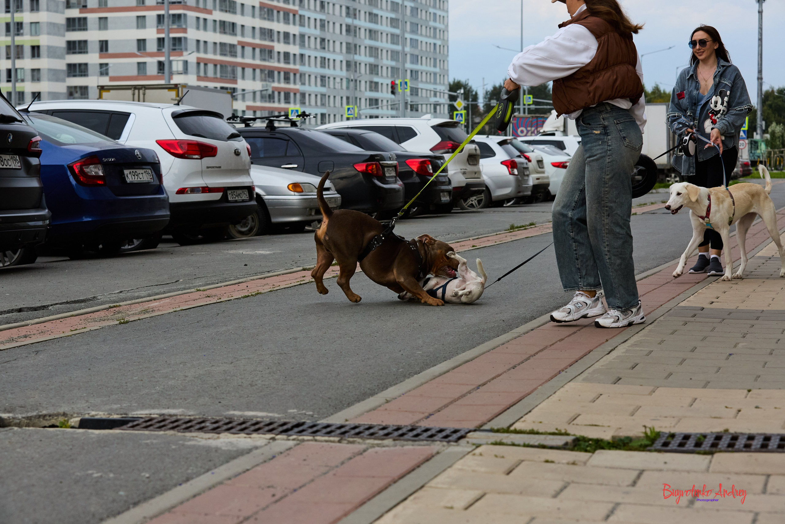 Проект фотопрогулка с хвостиком. Buyvolenko Andrey