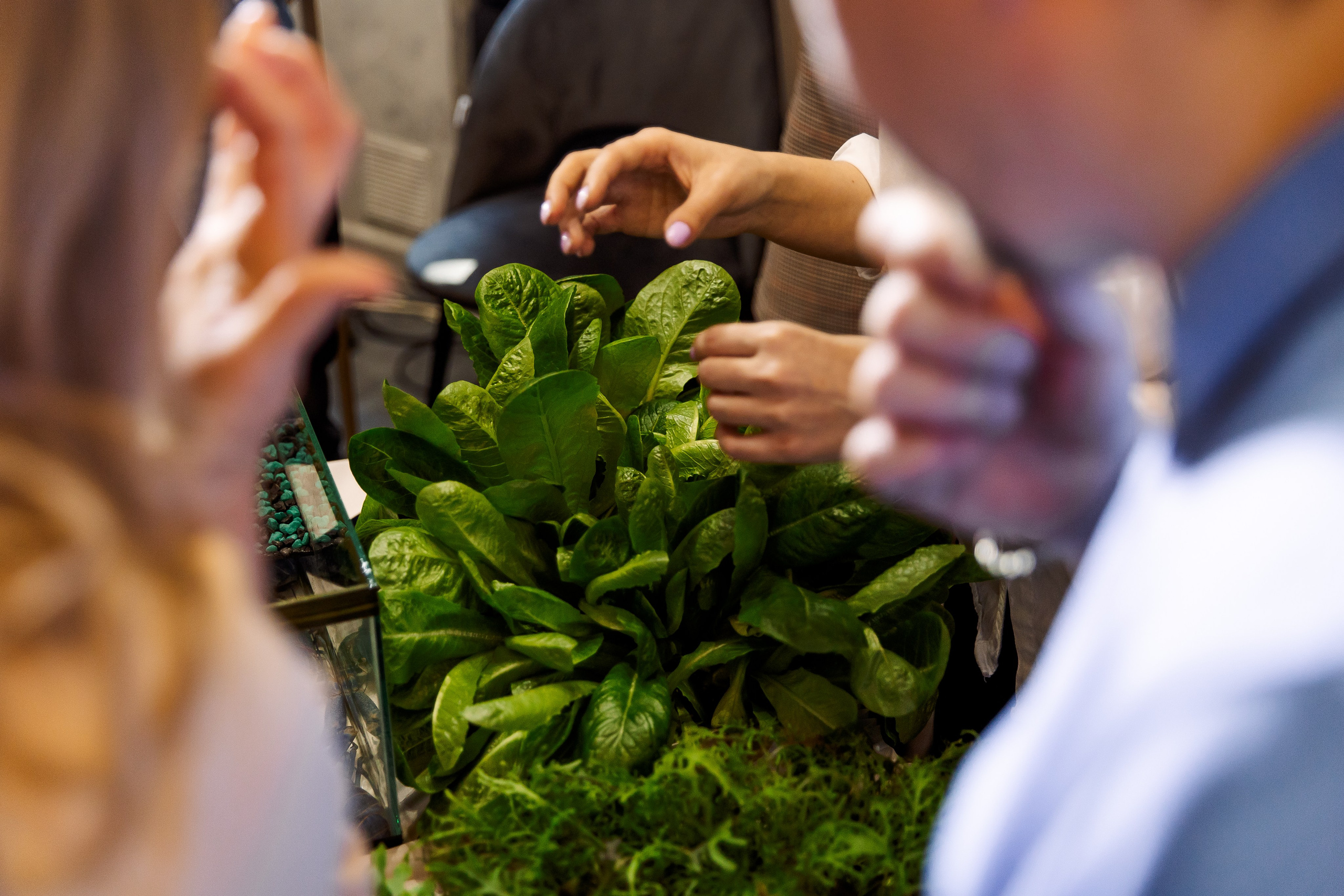Wedding Fest. Свадебный и семейный фотограф в Челябинске Юлия Ишимова