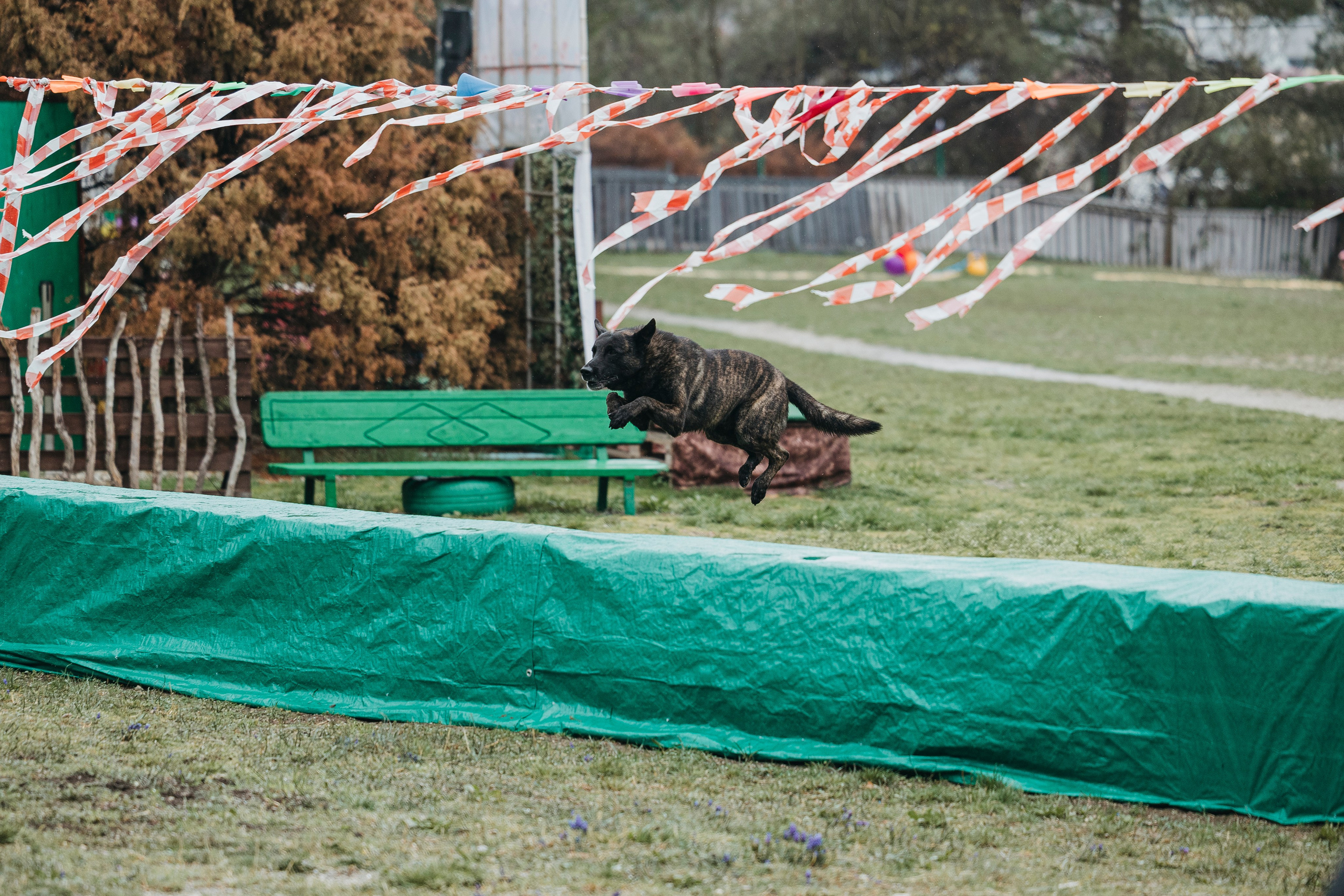 Геленджик Мондьоринг. Фотограф-анималист Анна Маринич