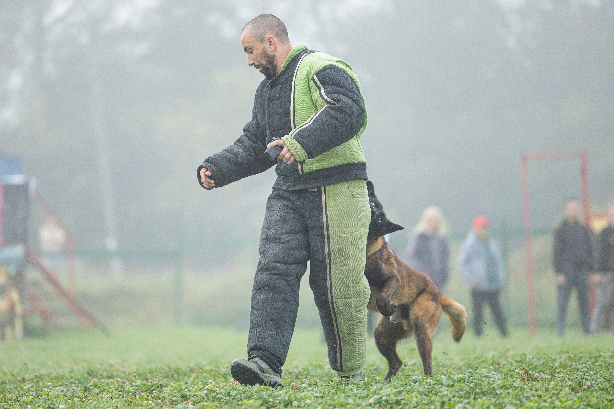 Соревнования по Мондьорингу г. Вологда 10-11.08.2024. Фотограф-анималист Анна Маринич