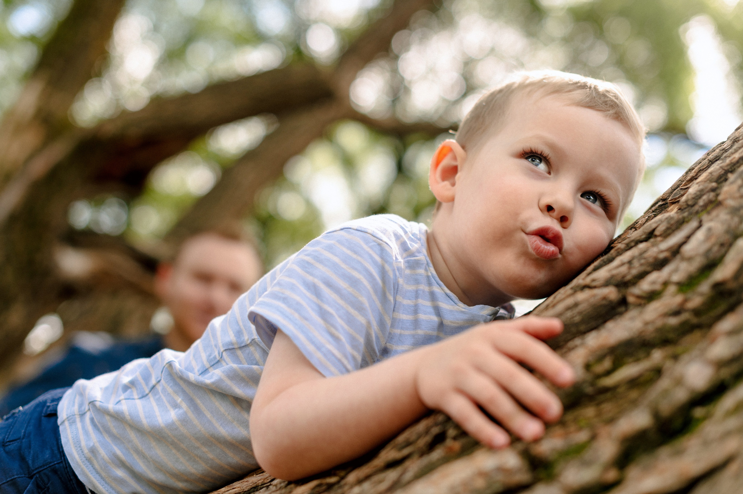 МНОГО ВЕТОЧЕК. Шашкова Вероника / Свадебный и семейный фотограф Москва и Ярославль
