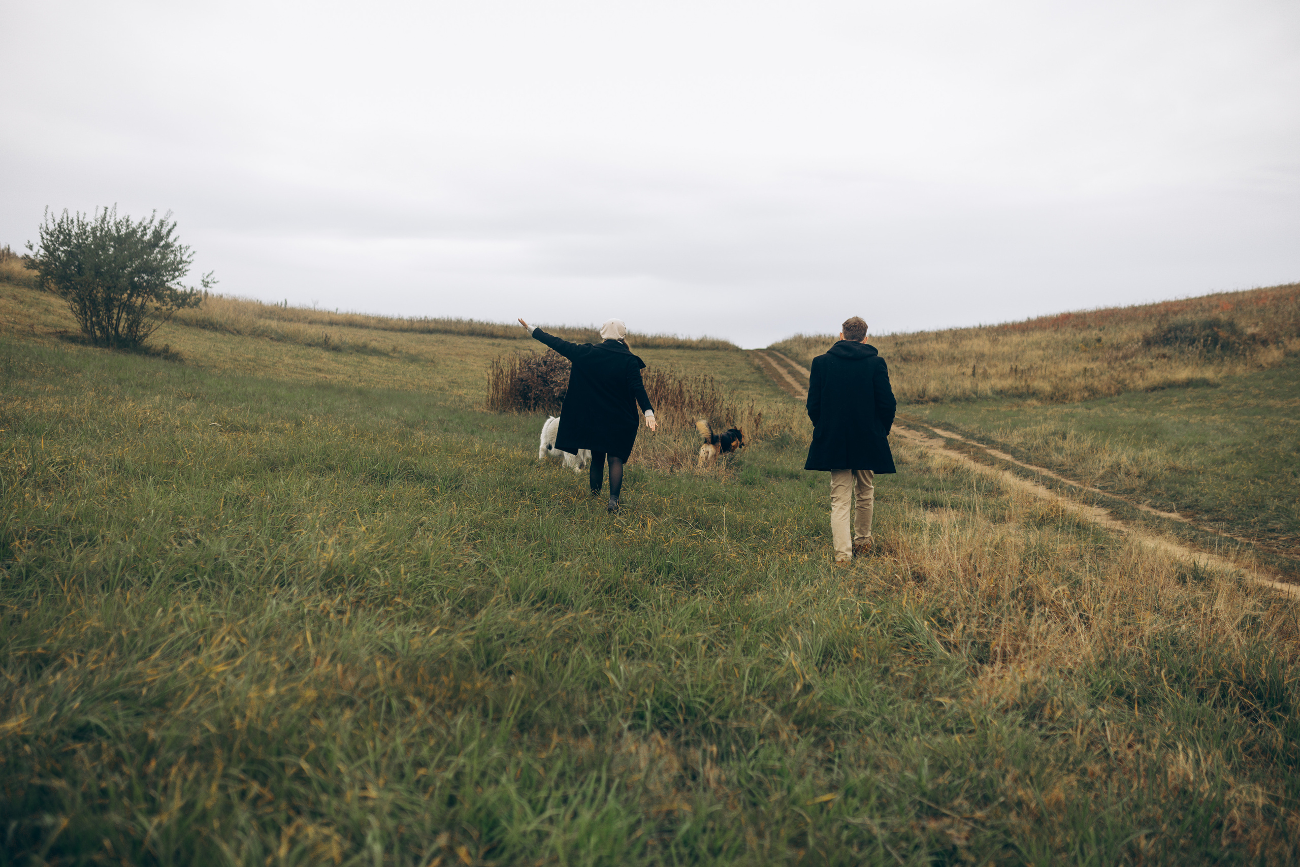 Яна&Миша Lovestory (Свадьба: Это Судьба). Wed Photographers 📷 Saint Petersburg