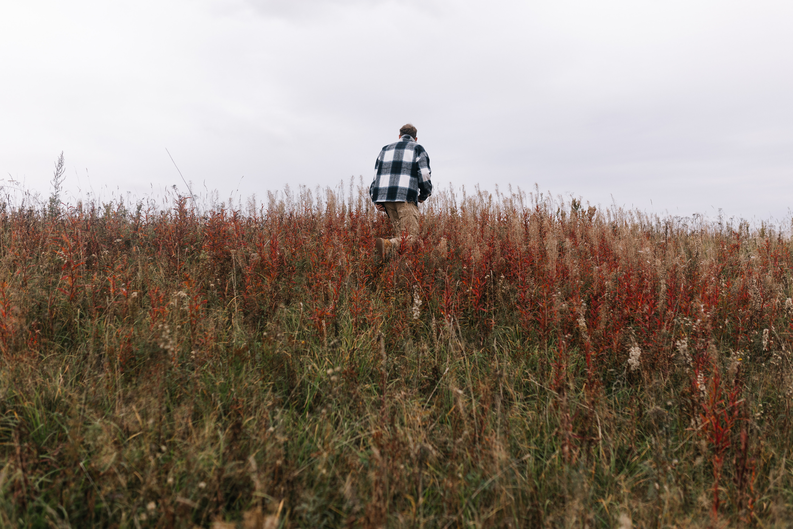 Яна&Миша Lovestory (Свадьба: Это Судьба). Wed Photographers 📷 Saint Petersburg