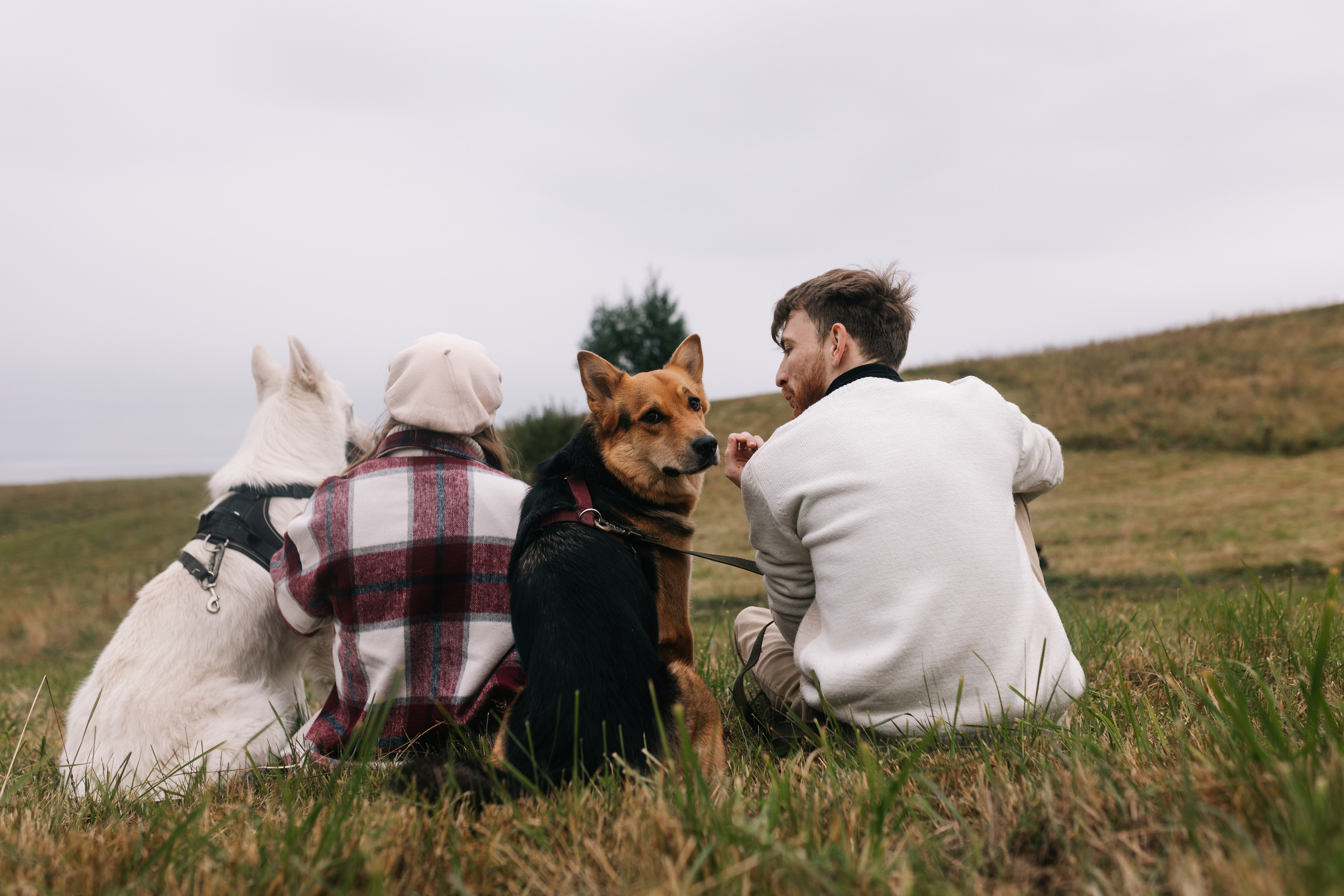 Яна&Миша Lovestory (Свадьба: Это Судьба). Wed Photographers 📷 Saint Petersburg