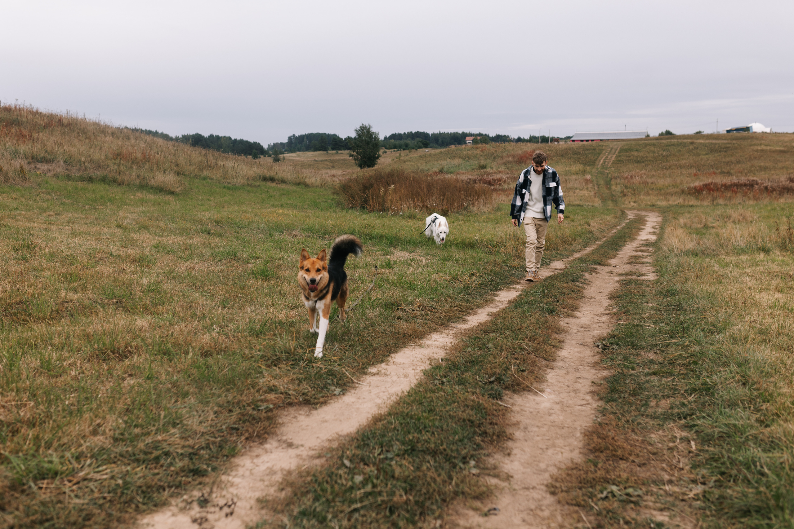 Яна&Миша Lovestory (Свадьба: Это Судьба). Wed Photographers 📷 Saint Petersburg