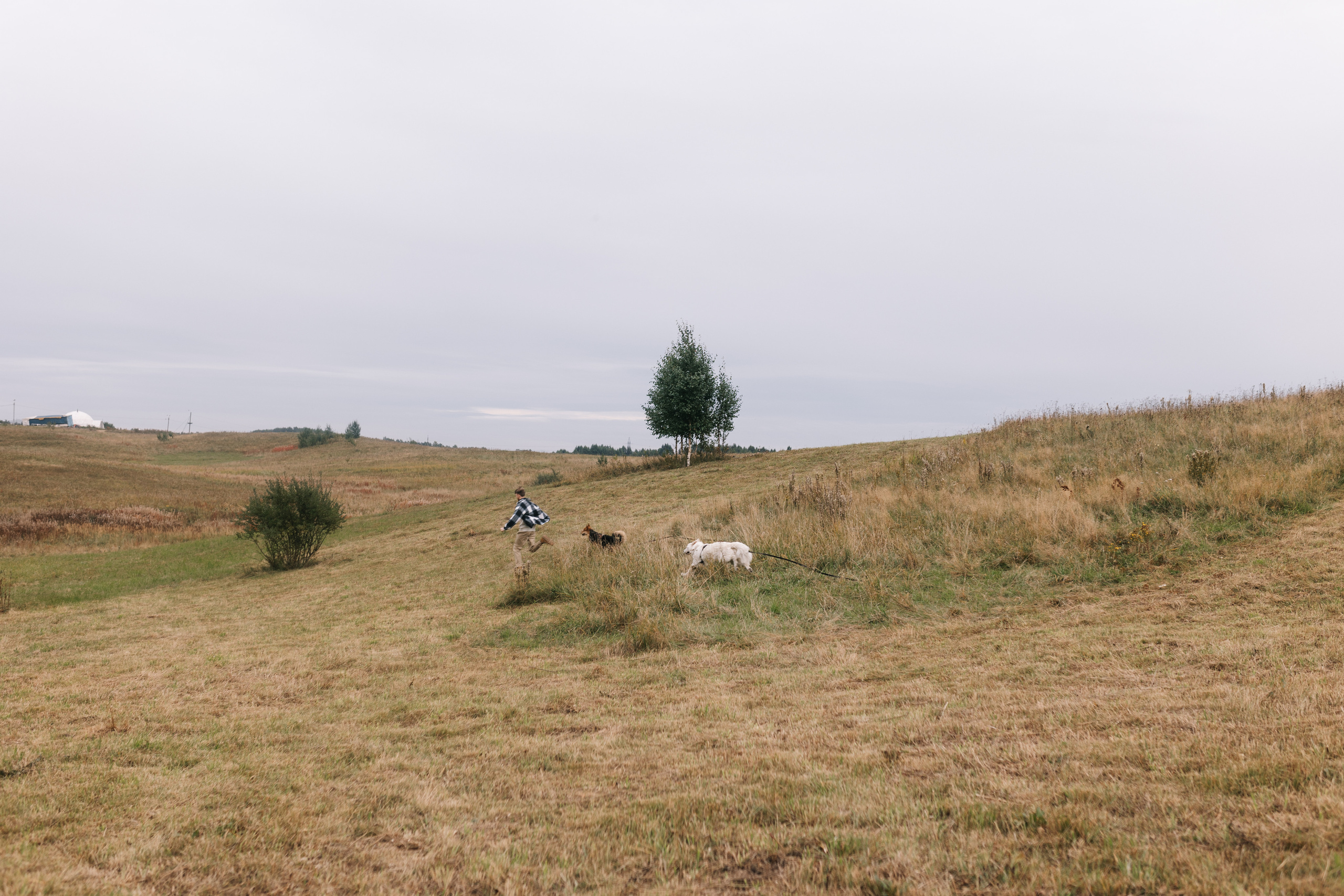 Яна&Миша Lovestory (Свадьба: Это Судьба). Wed Photographers 📷 Saint Petersburg