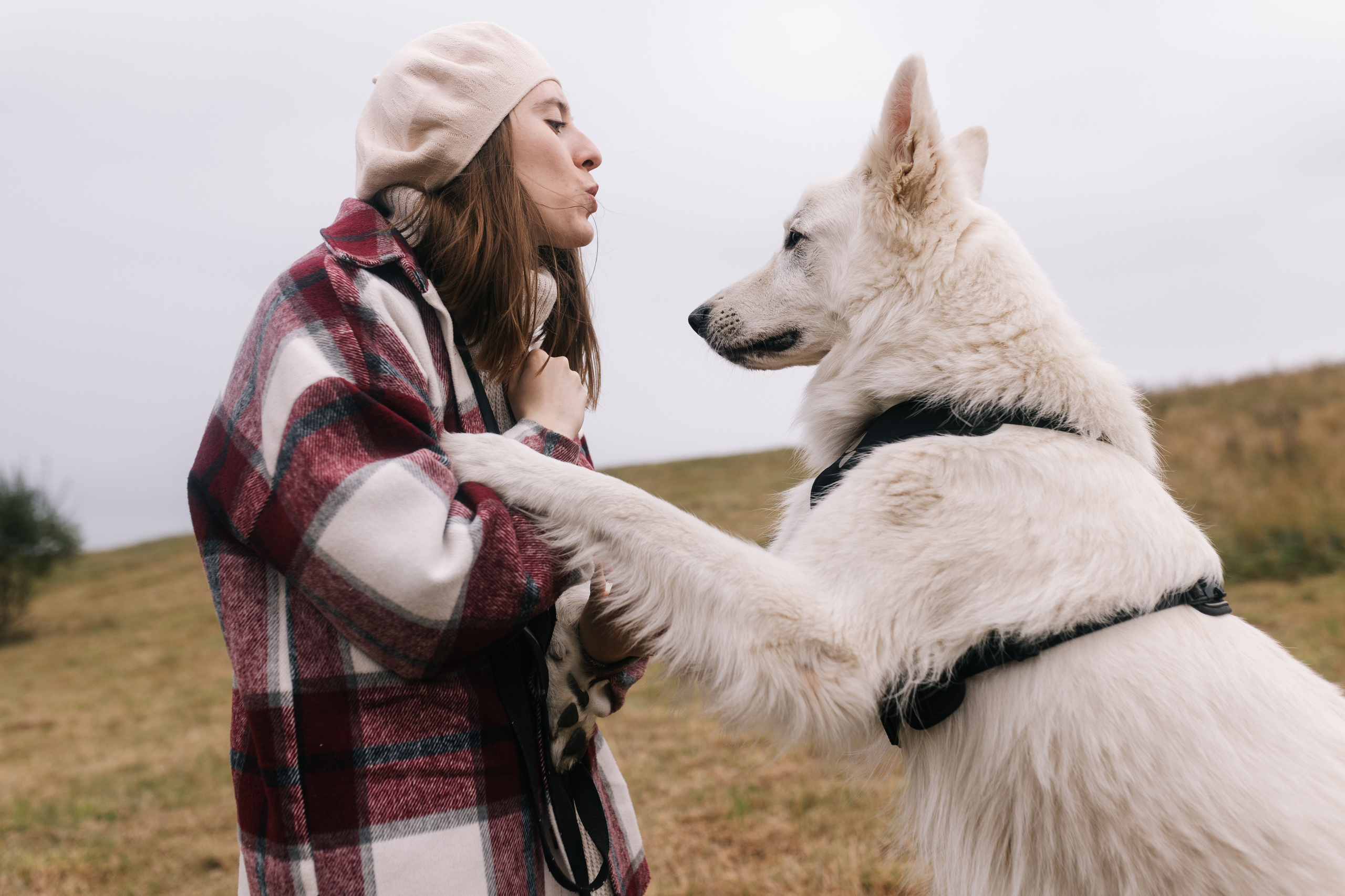 Яна&Миша Lovestory (Свадьба: Это Судьба). Wed Photographers 📷 Saint Petersburg