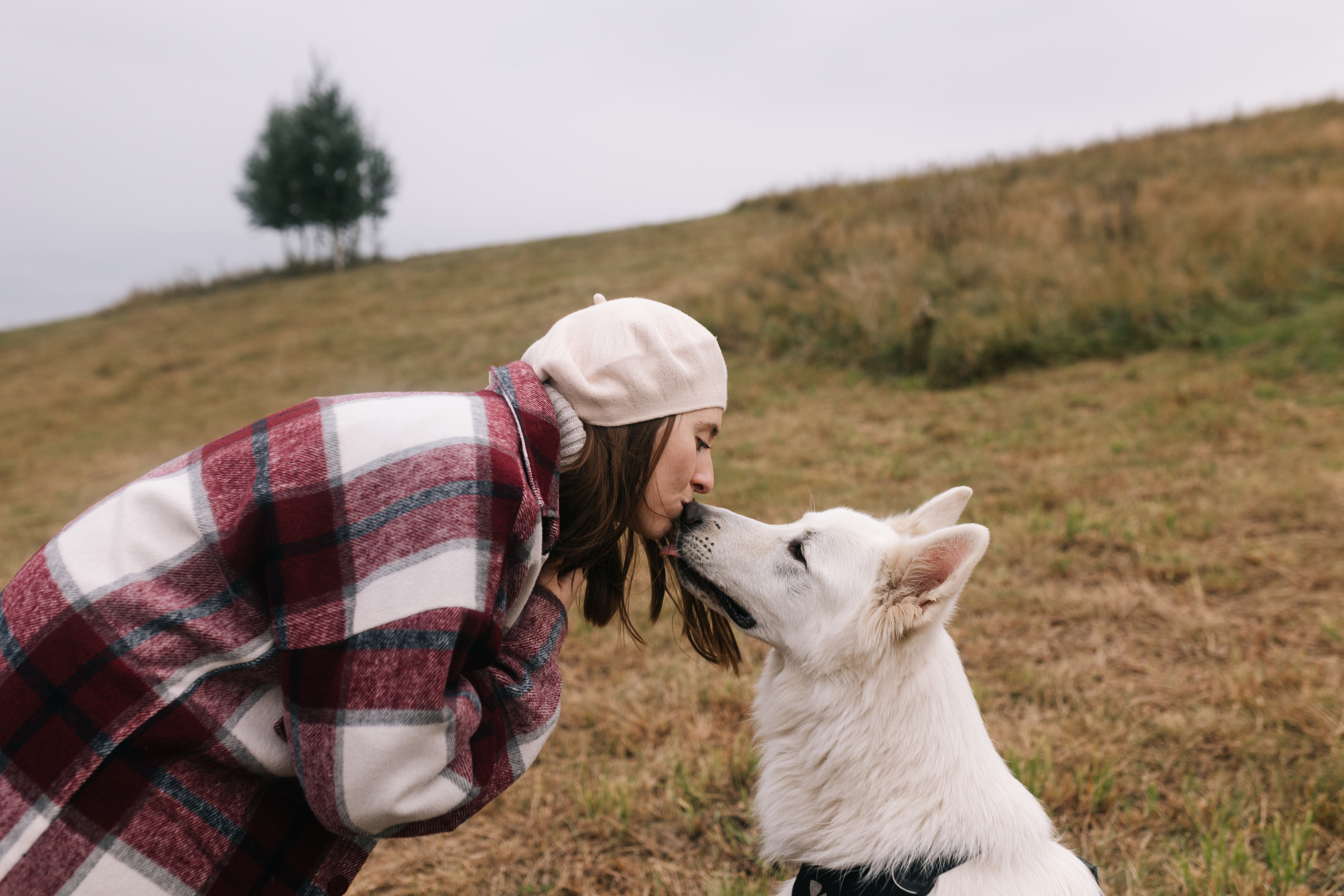 Яна&Миша Lovestory (Свадьба: Это Судьба). Wed Photographers 📷 Saint Petersburg