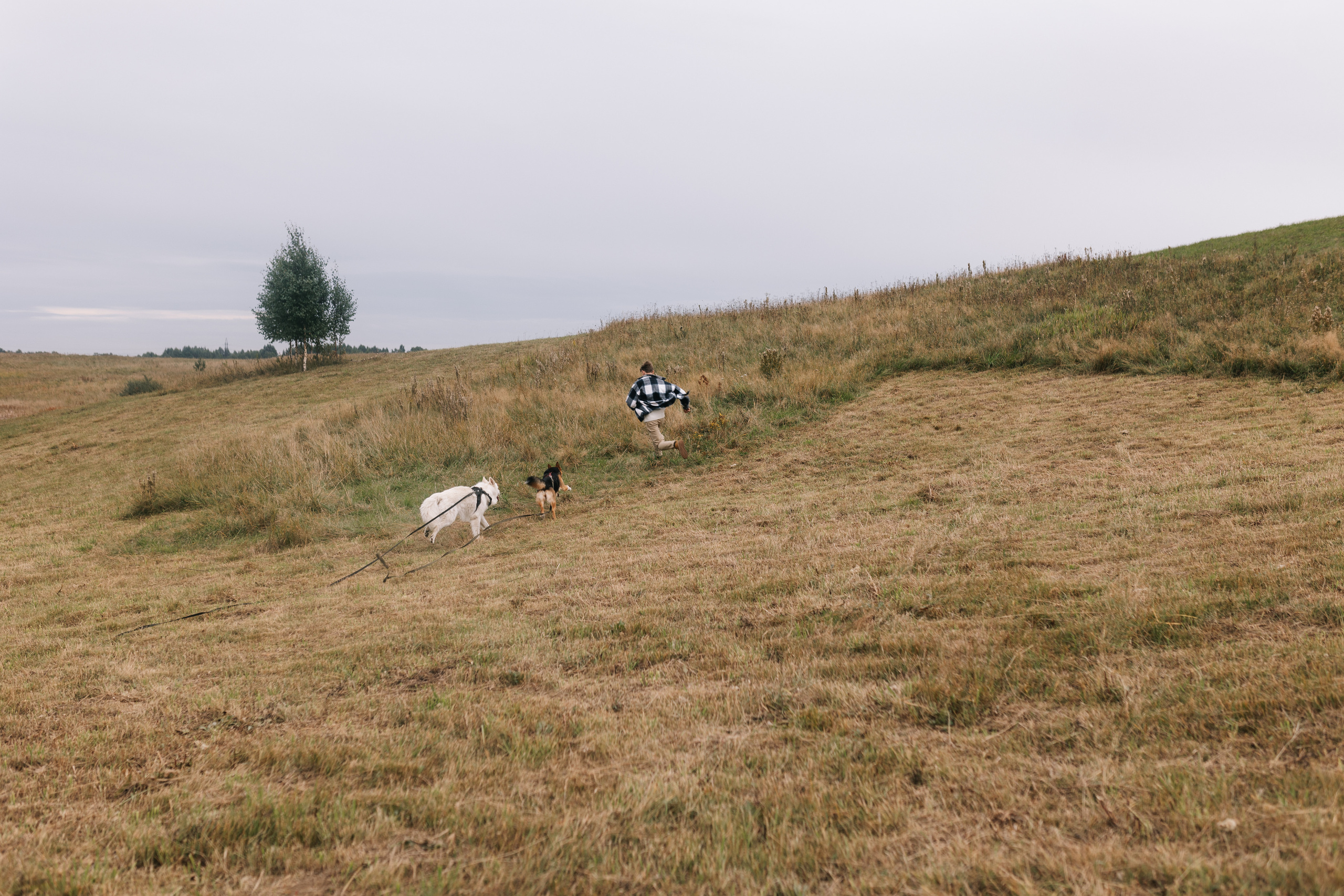 Яна&Миша Lovestory (Свадьба: Это Судьба). Wed Photographers 📷 Saint Petersburg