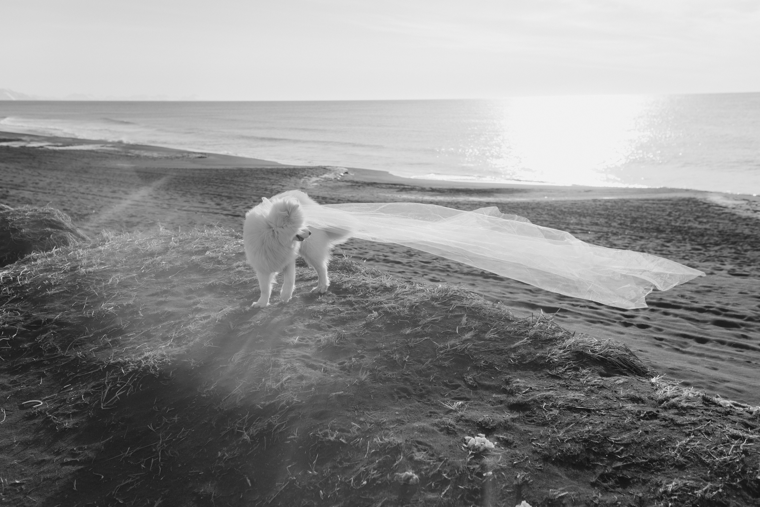 Камчатка: Океан. Wed Photographers 📷 Saint Petersburg