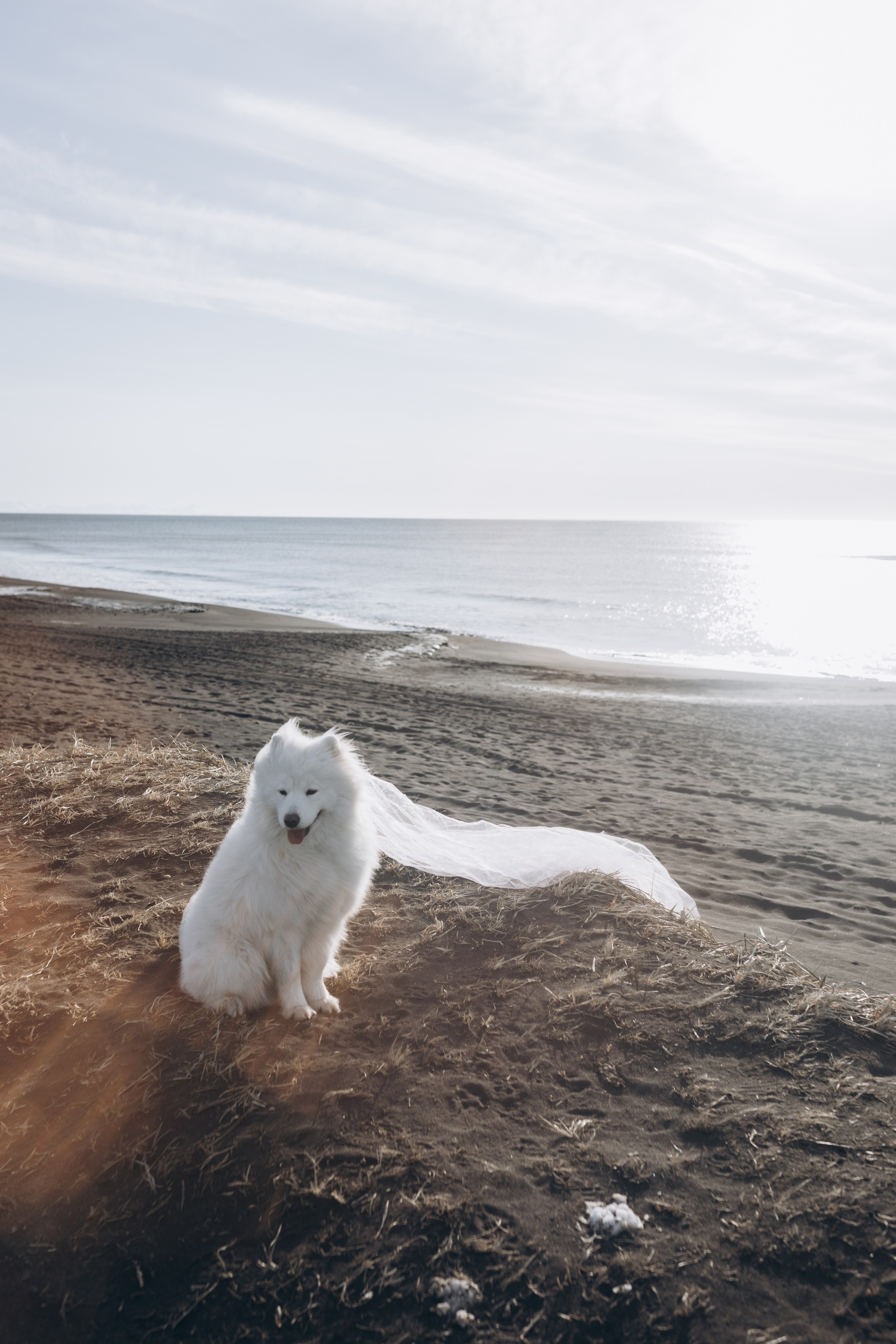 Камчатка: Океан. Wed Photographers 📷 Saint Petersburg