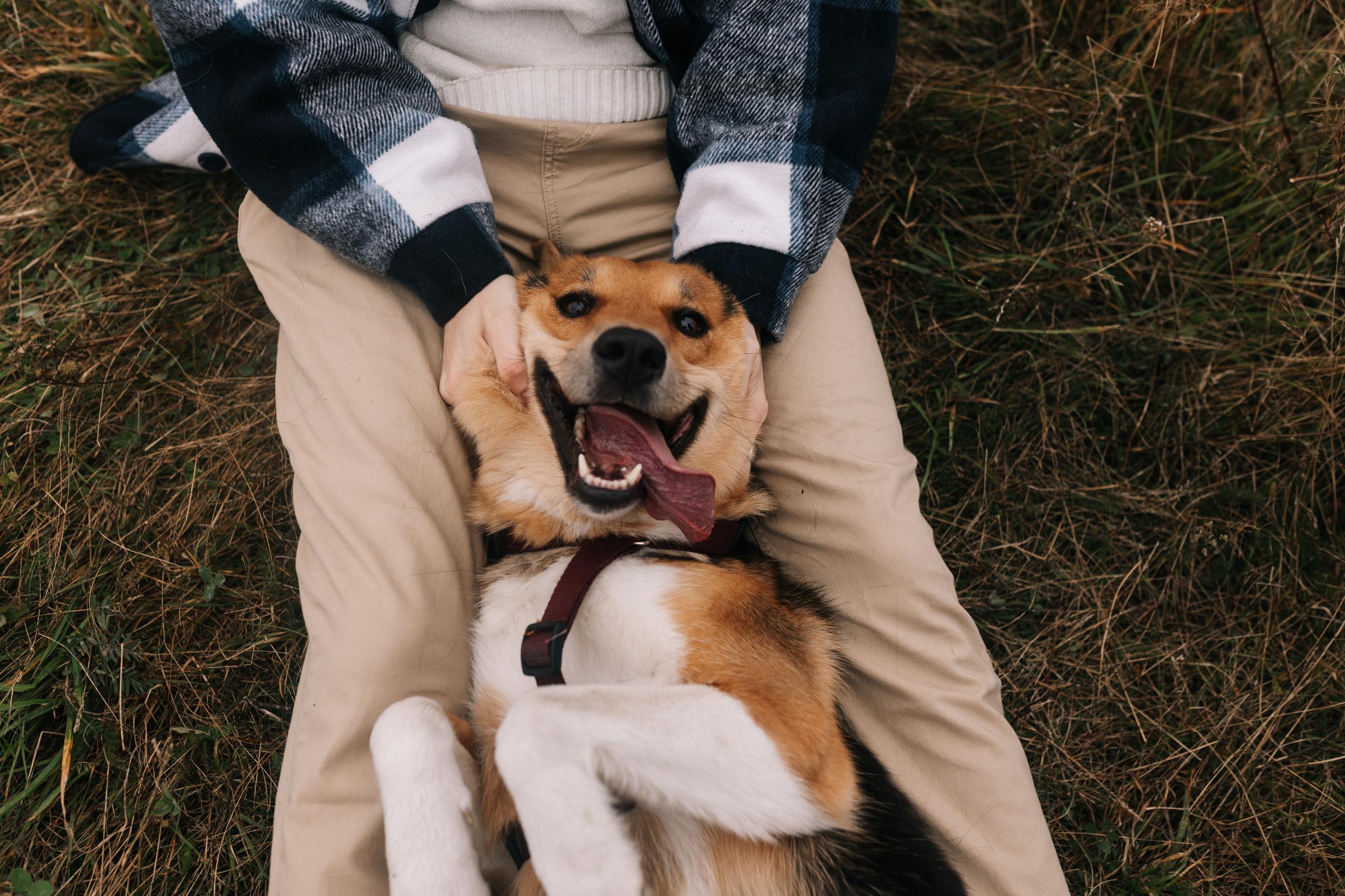 Яна&Миша Lovestory (Свадьба: Это Судьба). Wed Photographers 📷 Saint Petersburg