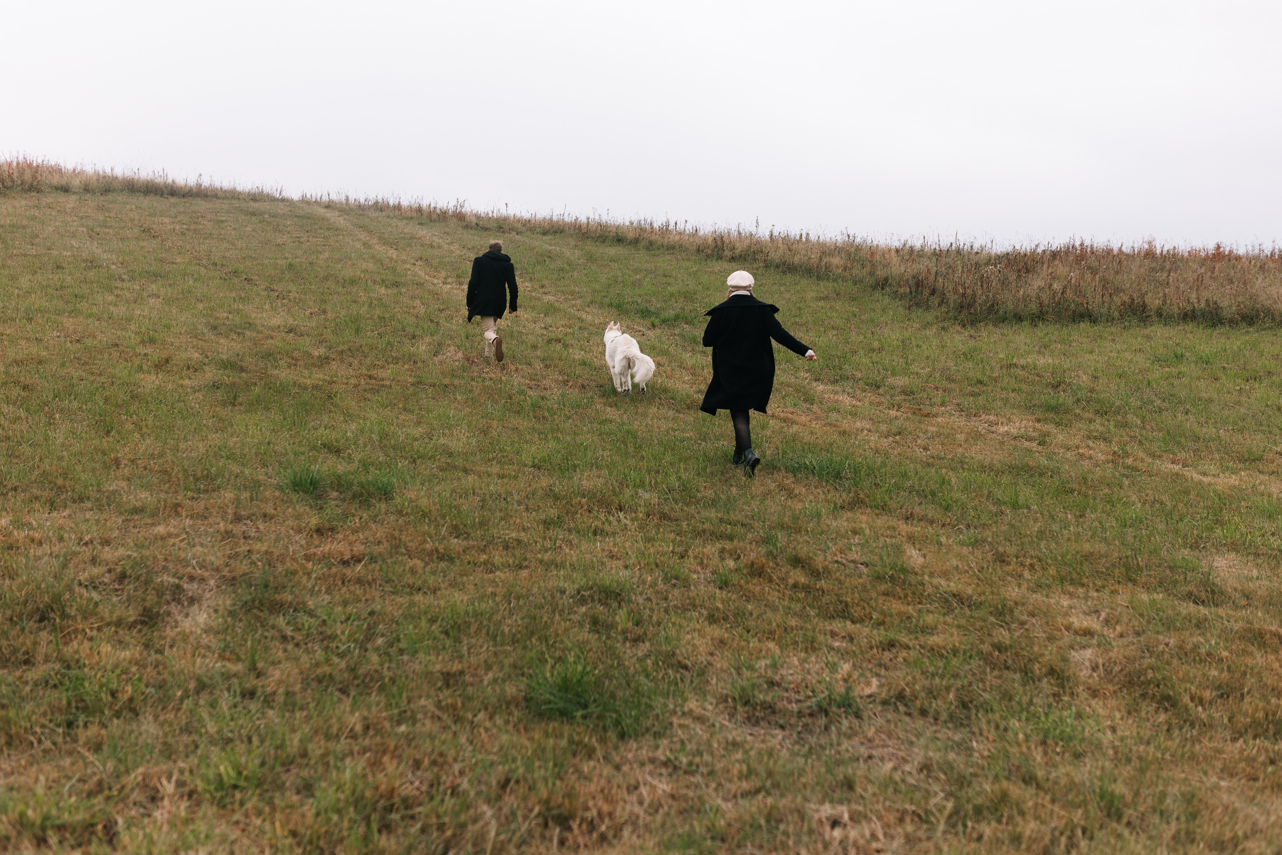 Яна&Миша Lovestory (Свадьба: Это Судьба). Wed Photographers 📷 Saint Petersburg