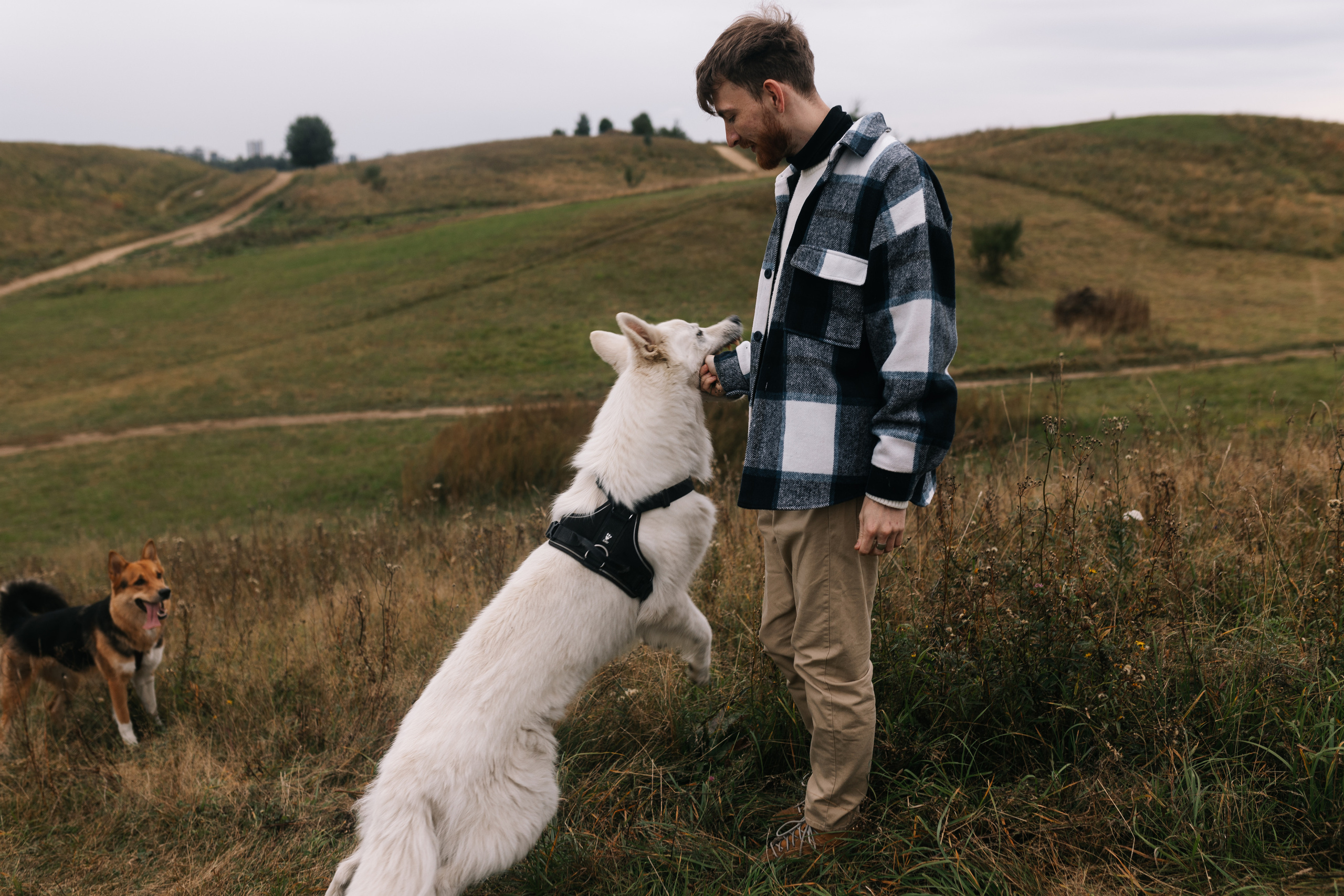 Яна&Миша Lovestory (Свадьба: Это Судьба). Wed Photographers 📷 Saint Petersburg