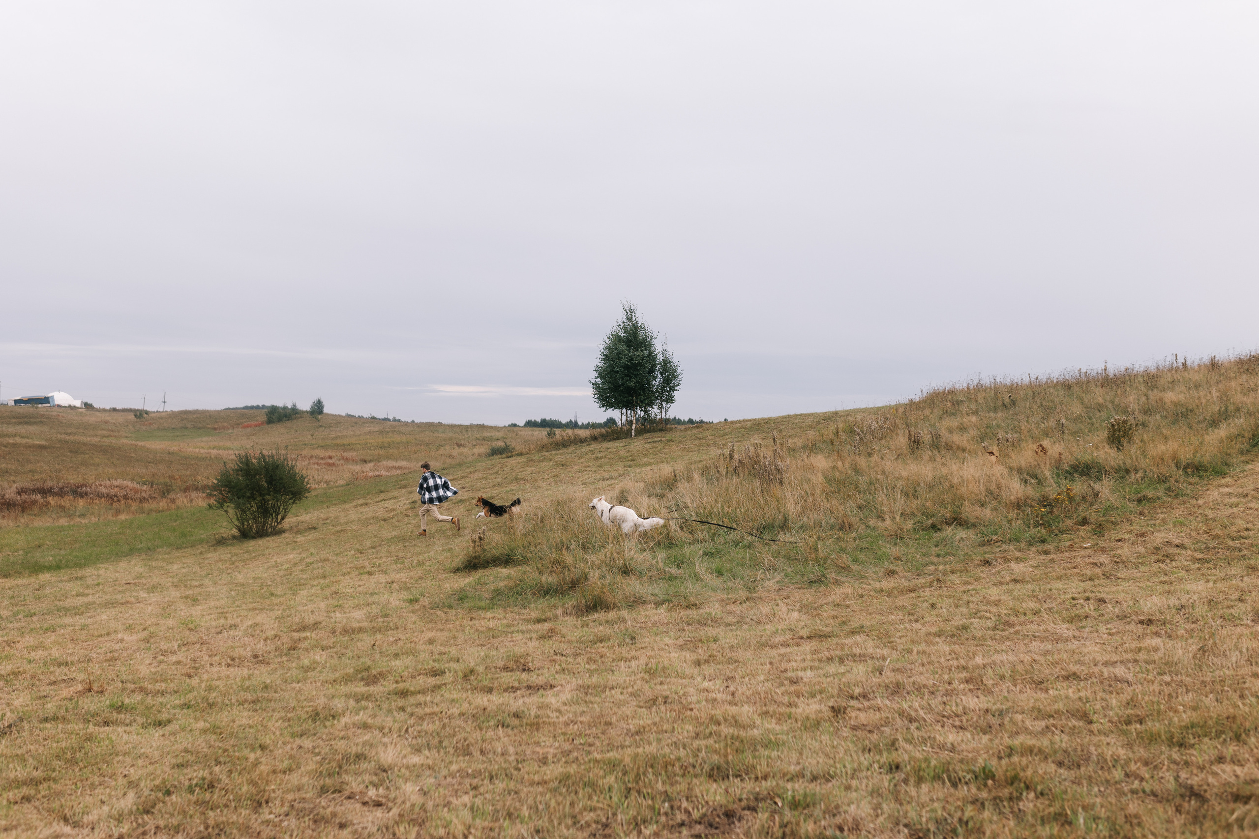 Яна&Миша Lovestory (Свадьба: Это Судьба). Wed Photographers 📷 Saint Petersburg