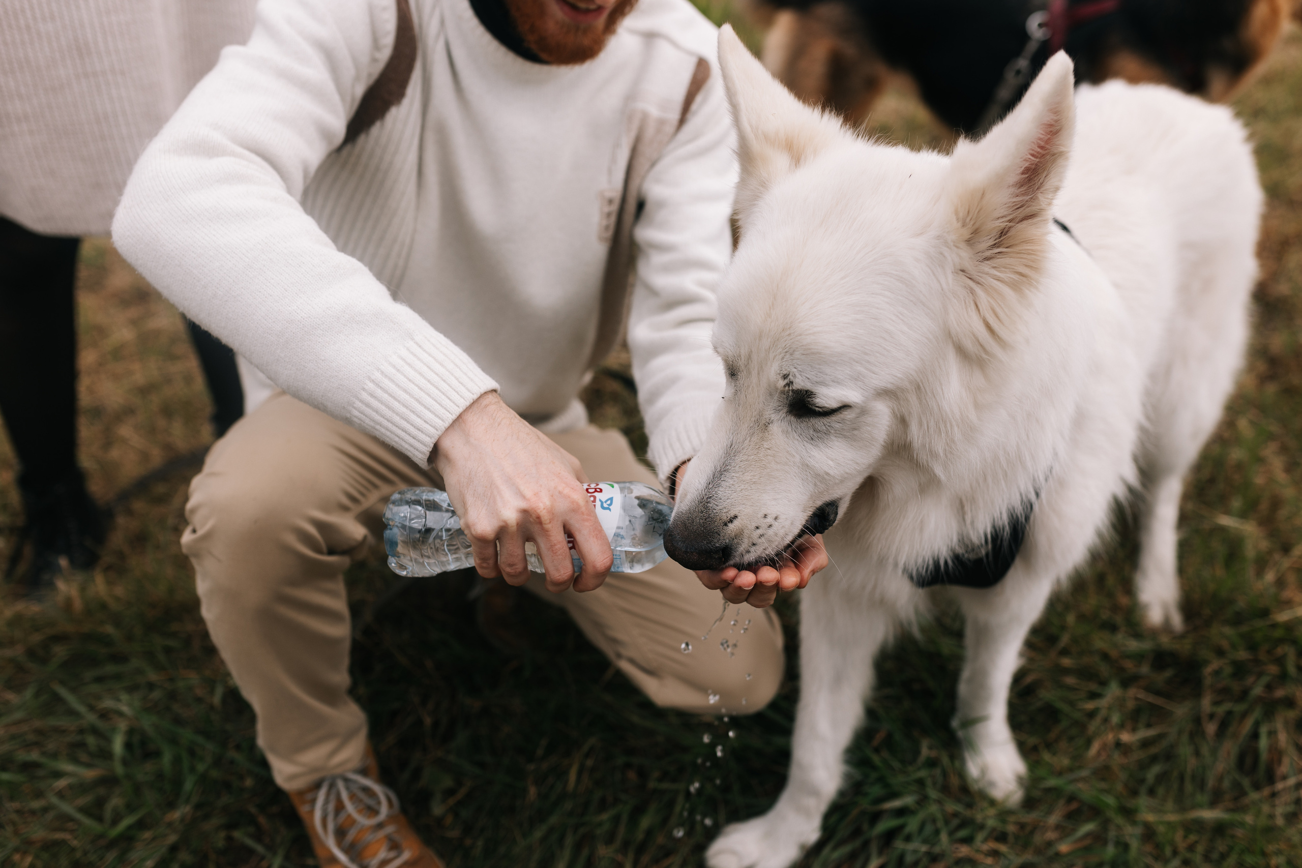 Яна&Миша Lovestory (Свадьба: Это Судьба). Wed Photographers 📷 Saint Petersburg