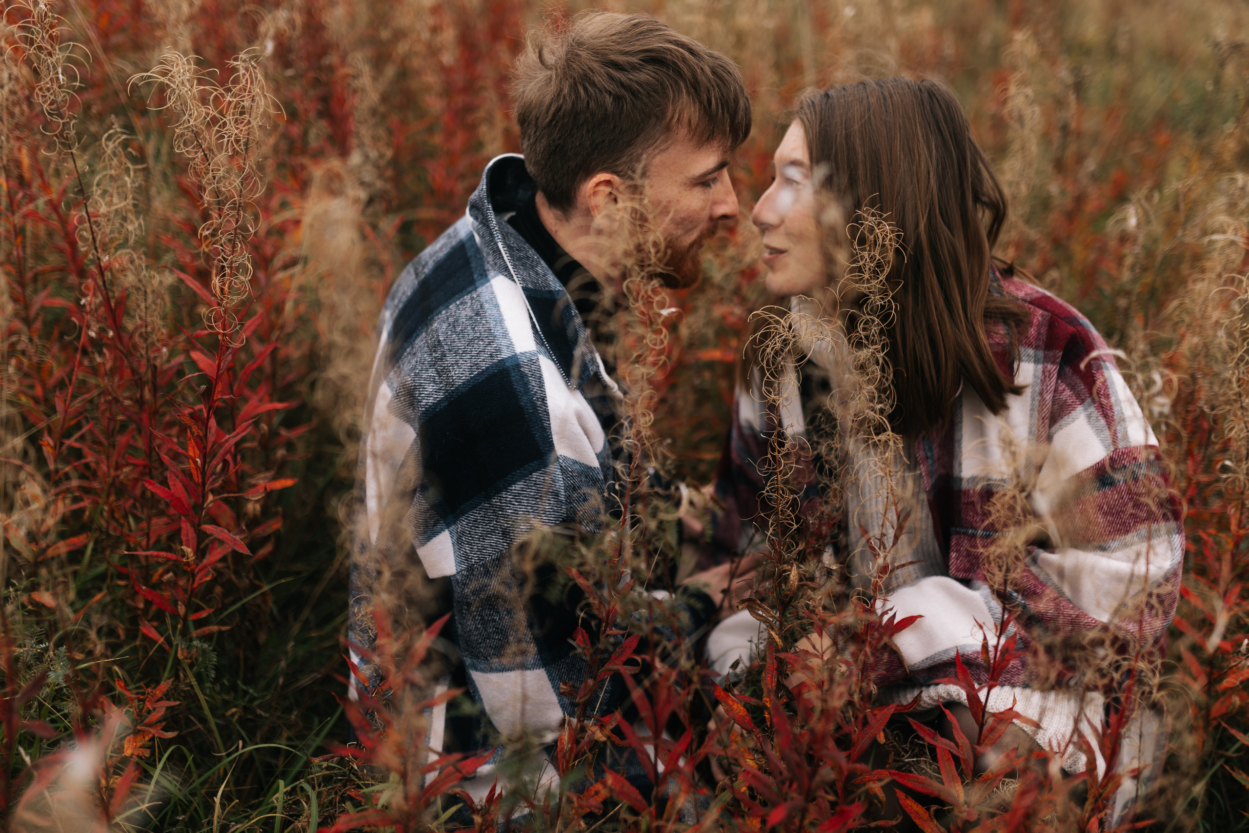 Яна&Миша Lovestory (Свадьба: Это Судьба). Wed Photographers 📷 Saint Petersburg