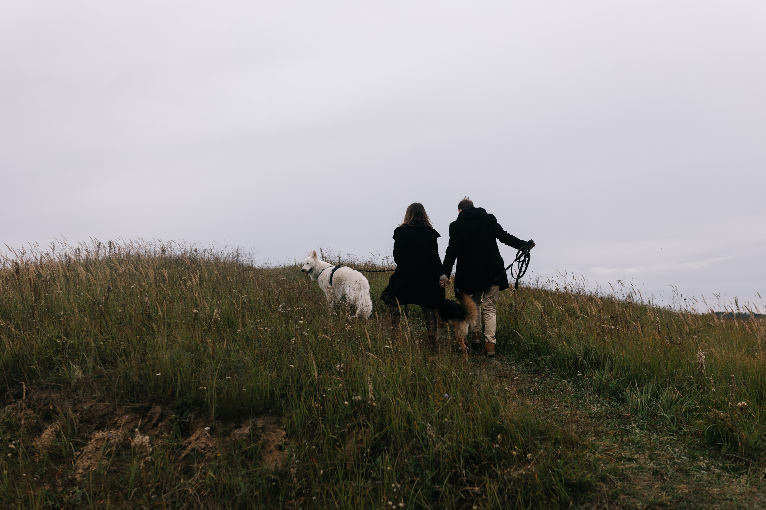 Яна&Миша Lovestory (Свадьба: Это Судьба). Wed Photographers 📷 Saint Petersburg