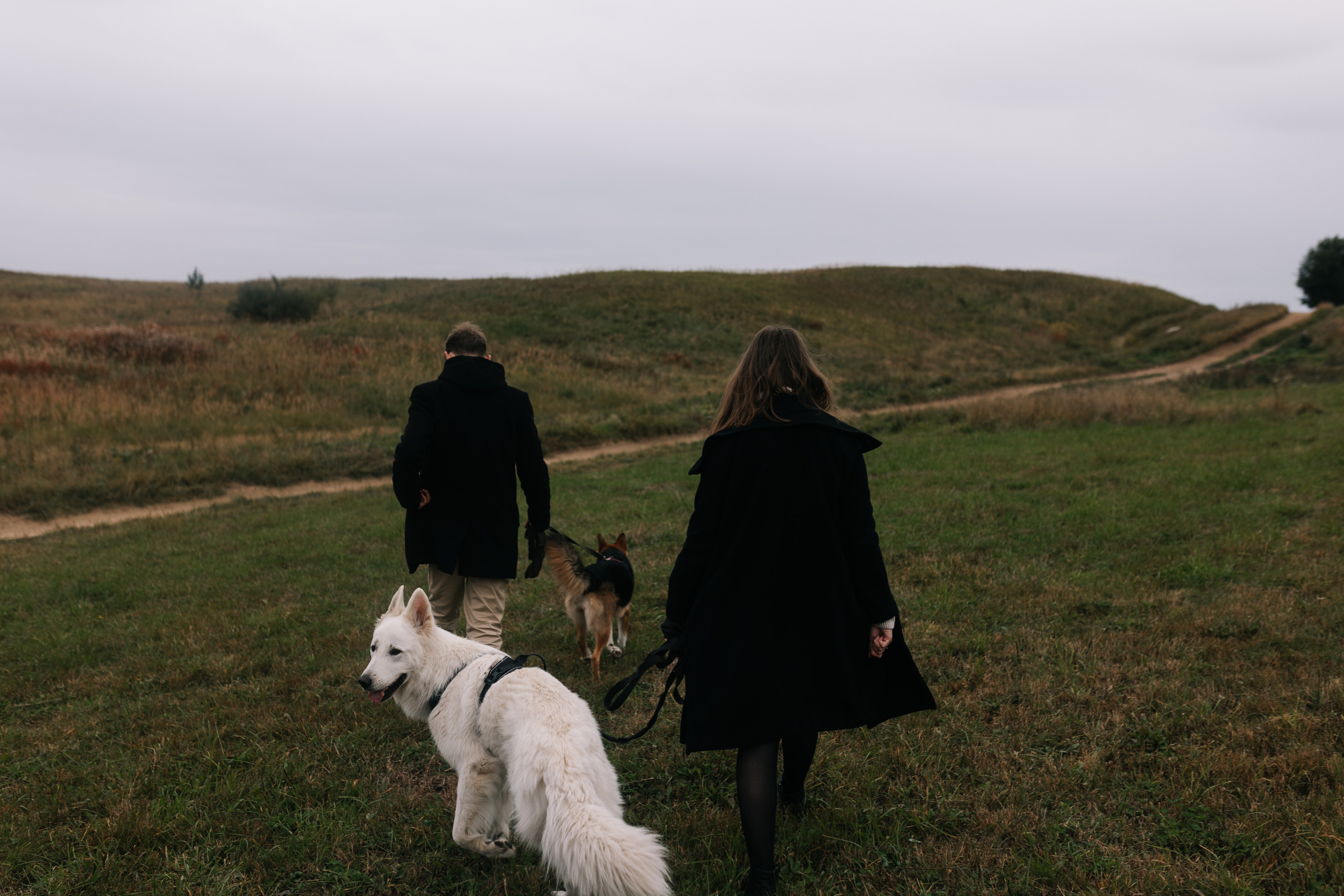 Яна&Миша Lovestory (Свадьба: Это Судьба). Wed Photographers 📷 Saint Petersburg