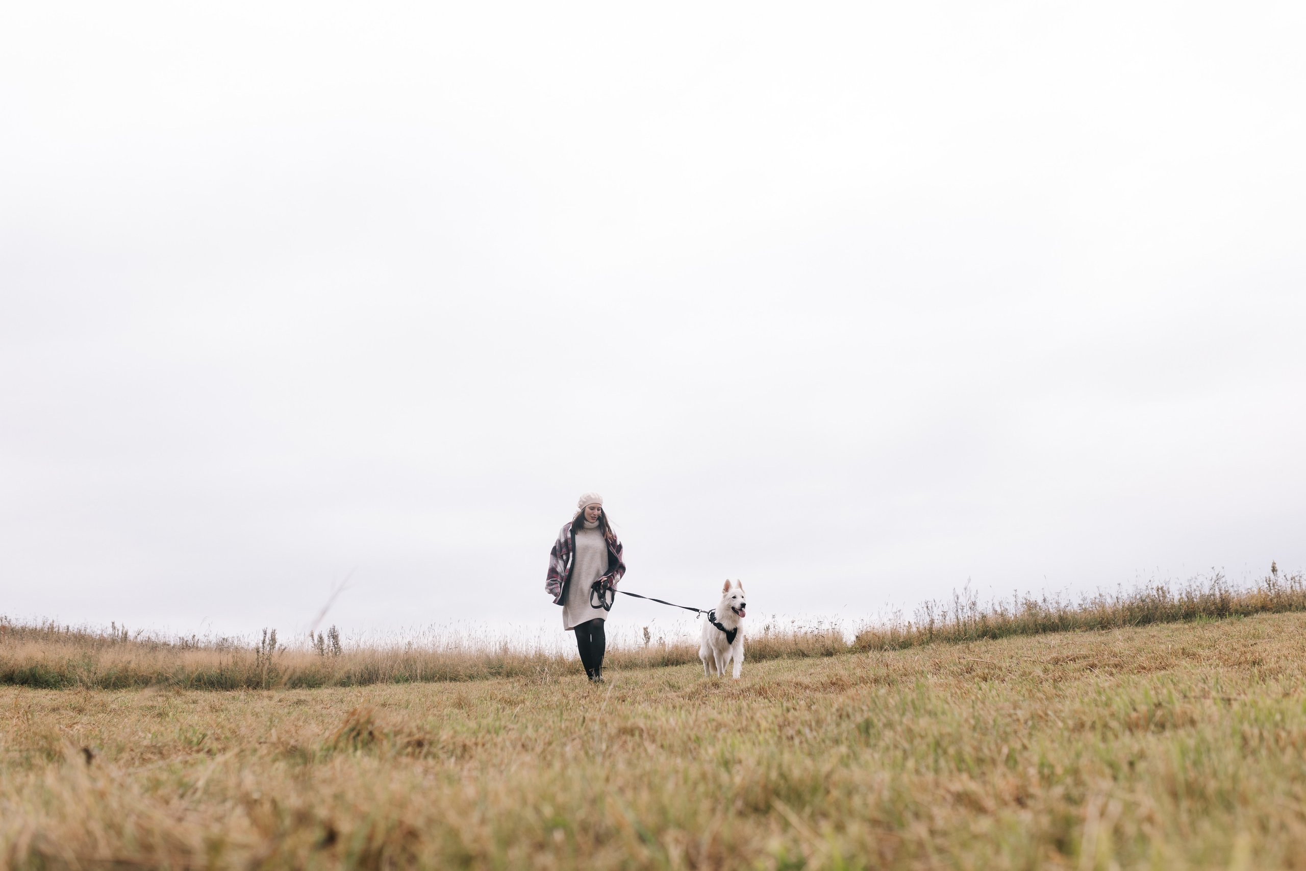 Яна&Миша Lovestory (Свадьба: Это Судьба). Wed Photographers 📷 Saint Petersburg